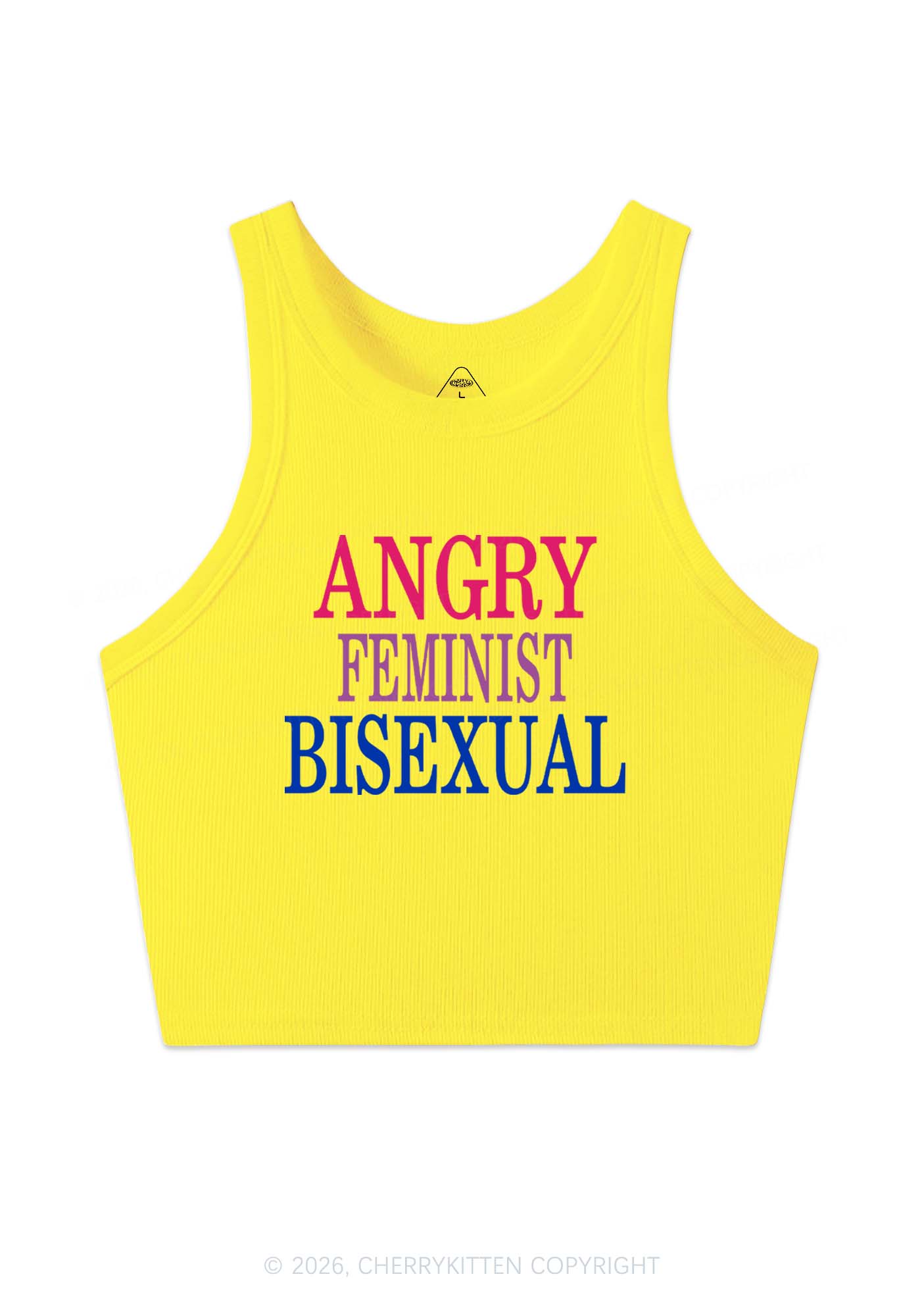 Angry Feminist Bisexual Pride Y2K Crop Tank Top Cherrykitten