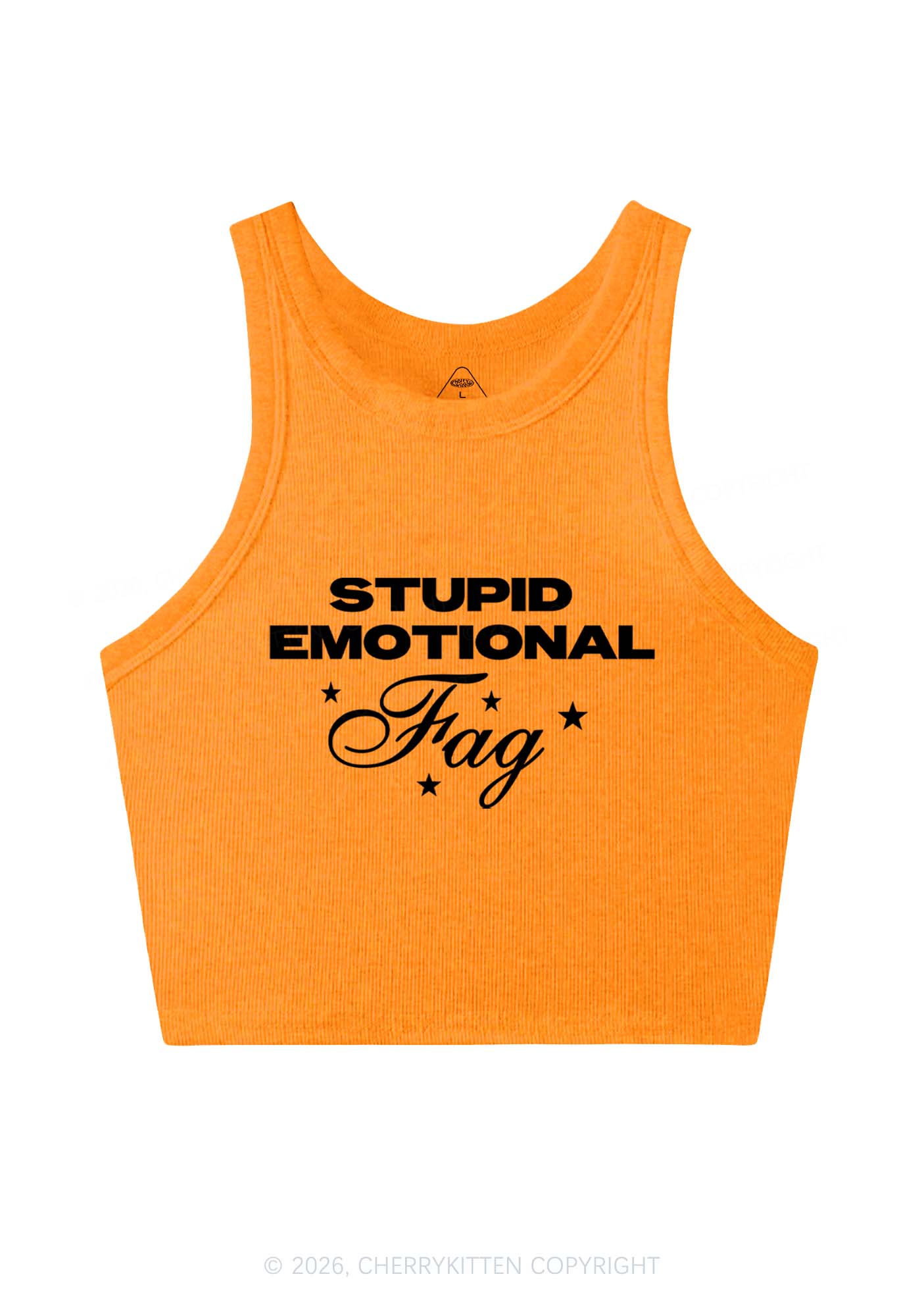 Stupid Emotional Fag Pride Y2K Crop Tank Top Cherrykitten