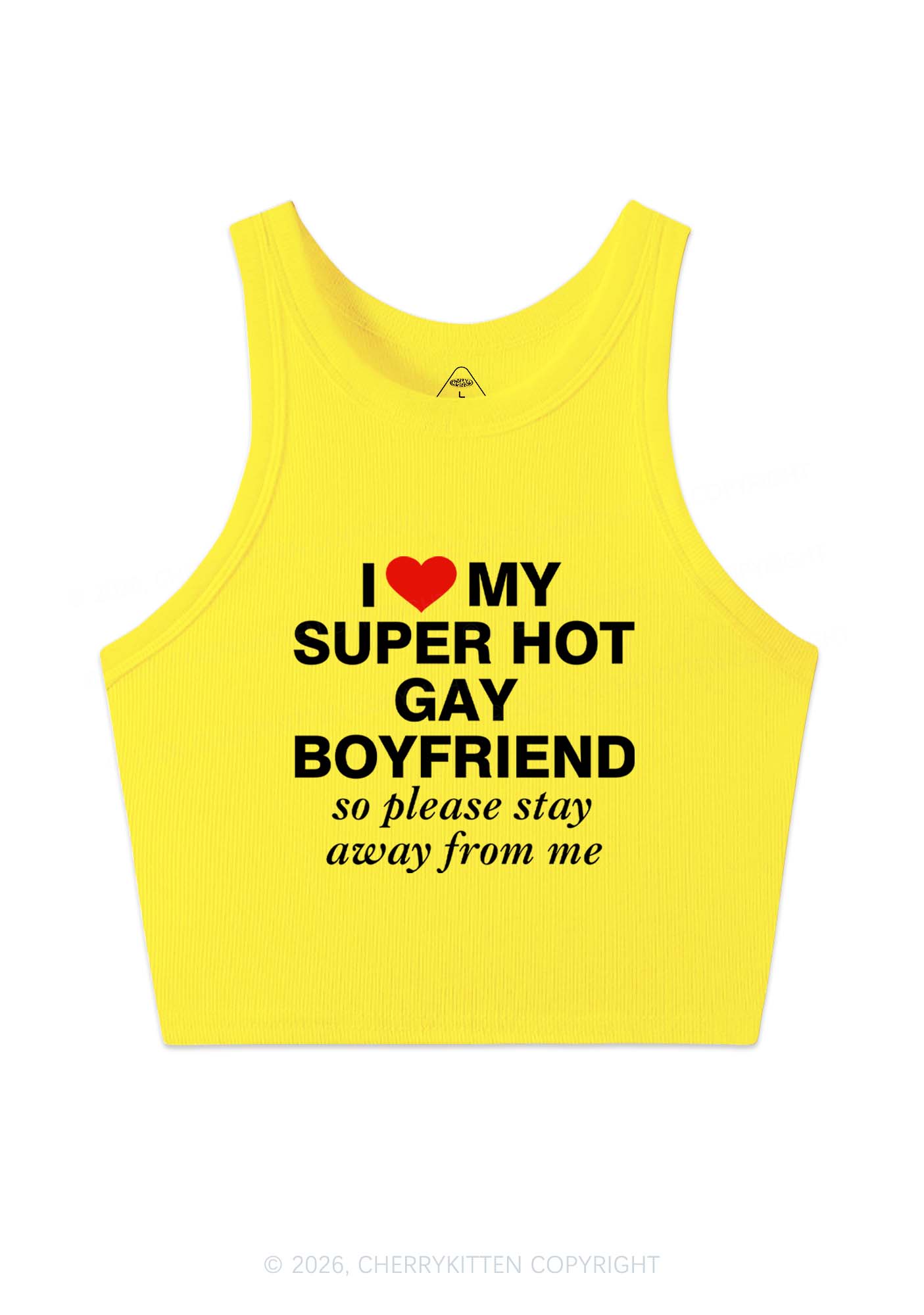 I Love My Super Hot Gay BF Pride Y2K Crop Tank Top Cherrykitten