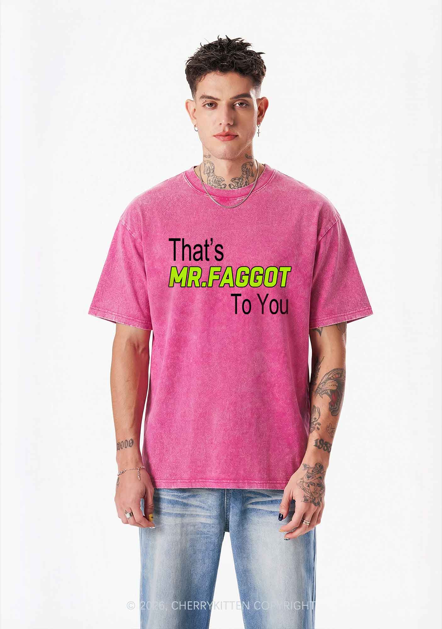 Thats Mr Faggot To You Pride Y2K Shirts Washed Tee Cherrykitten