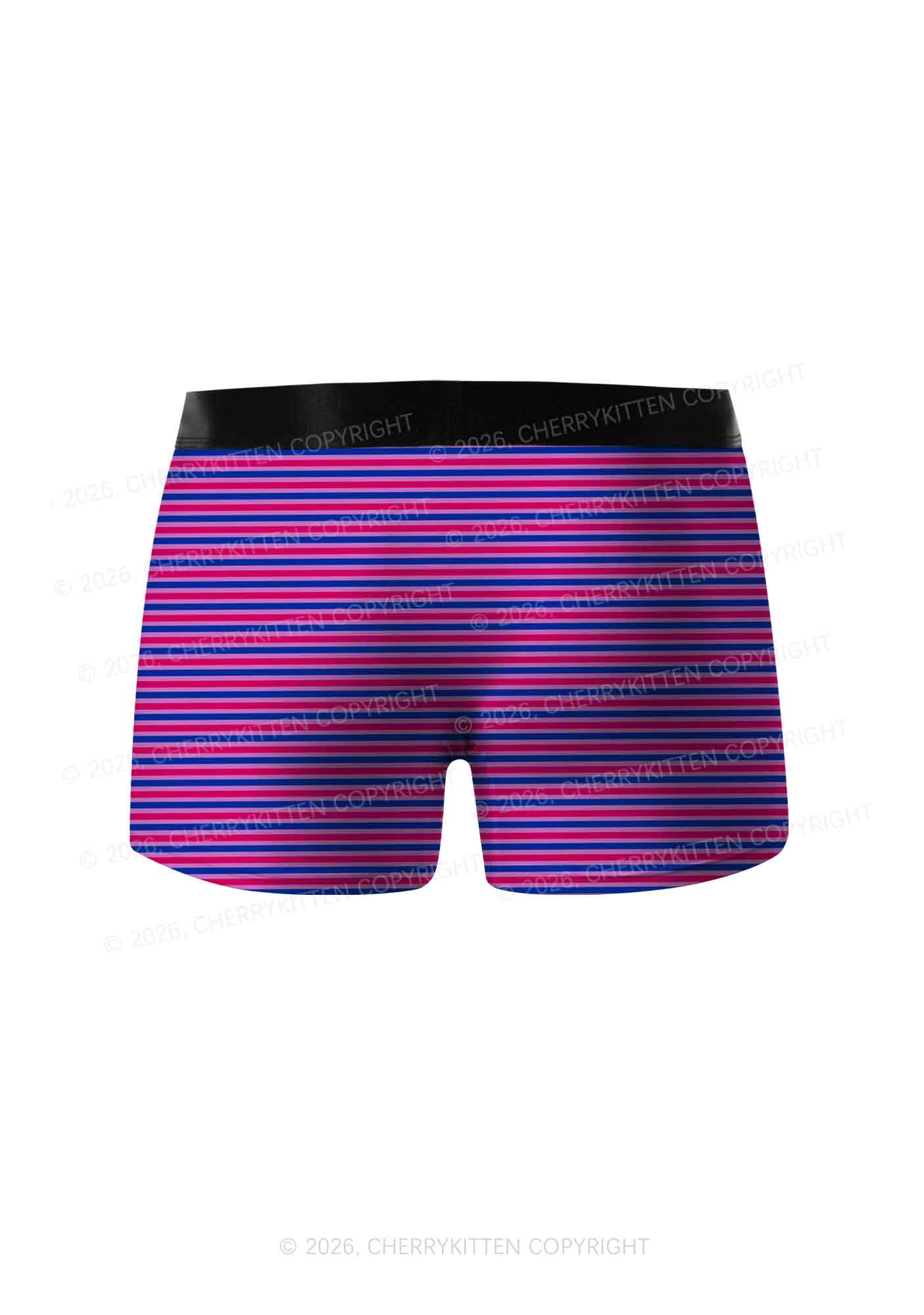 Bisexual Stripes Pride Y2K Print Men Boxer Briefs Cherrykitten