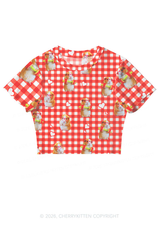 Gym Guinea Pig Red Plaid Y2K Mesh Crop Top Cherrykitten