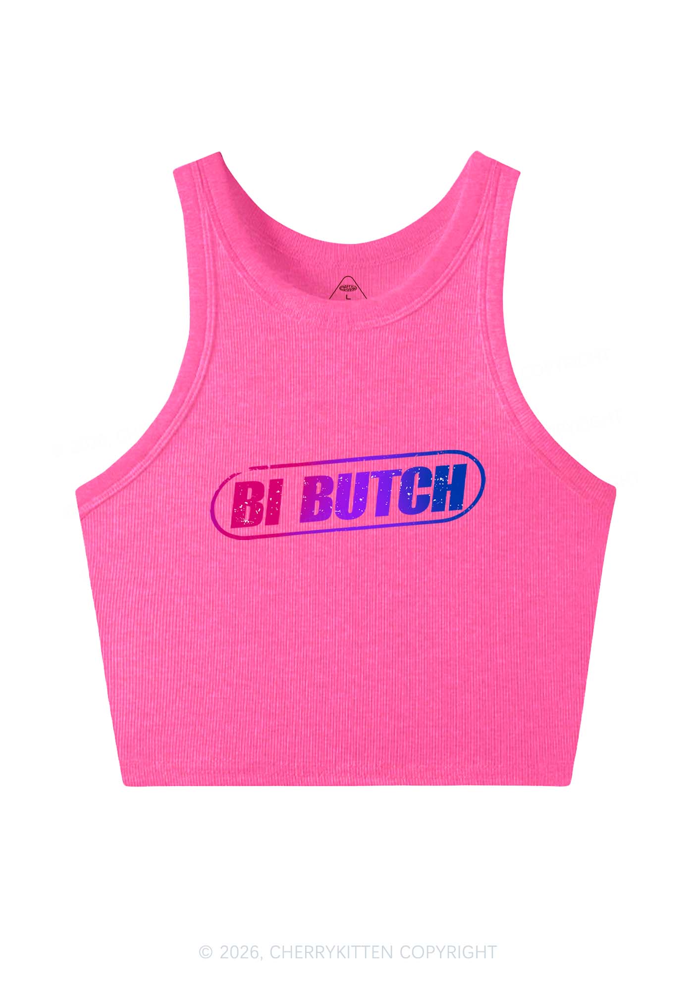 Bi Butch Pride Y2K Crop Tank Top Cherrykitten