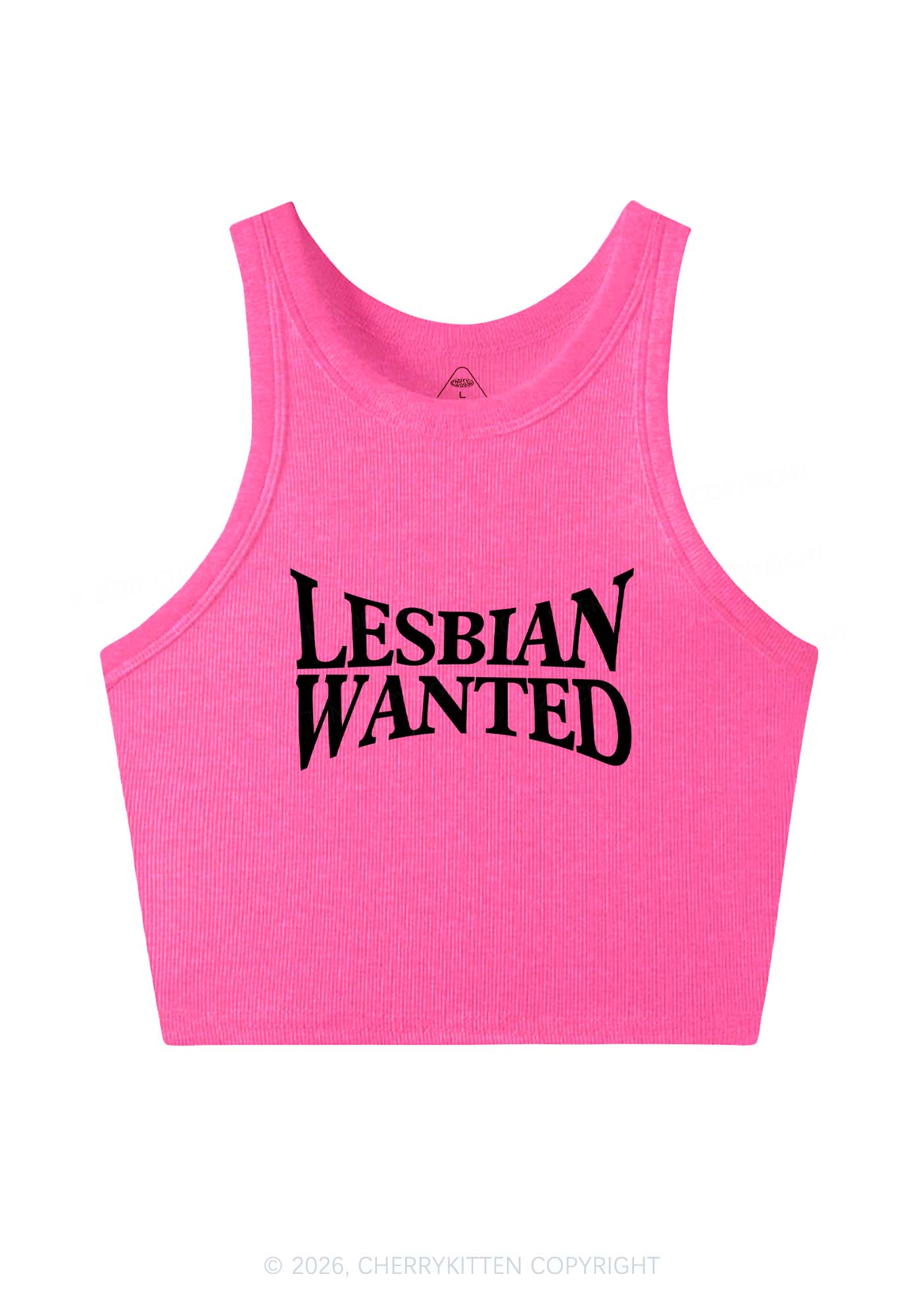 Lesbian Wanted Pride Y2K Crop Tank Top Cherrykitten