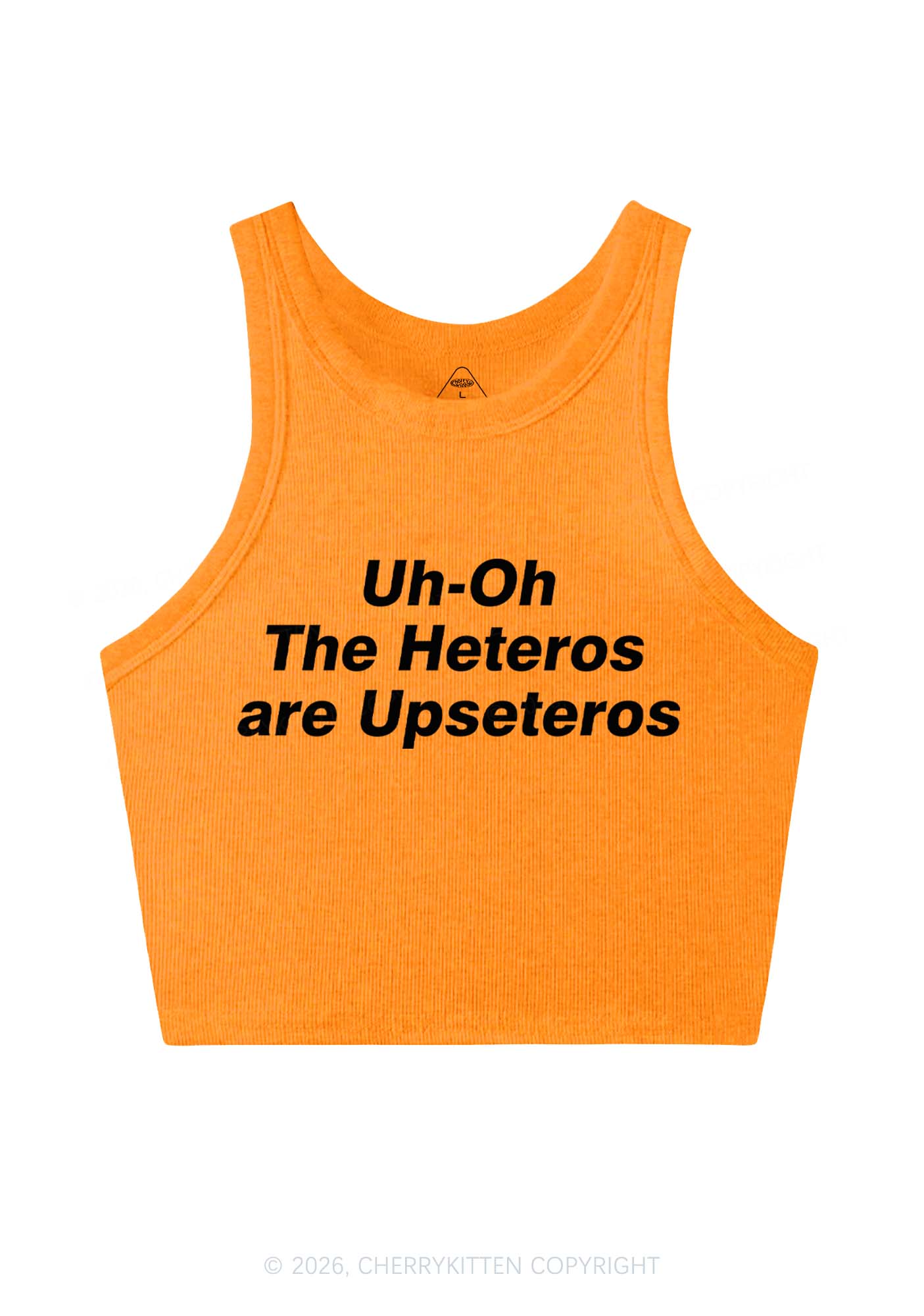 The Heteros Are Upseteros Pride Y2K Crop Tank Top Cherrykitten
