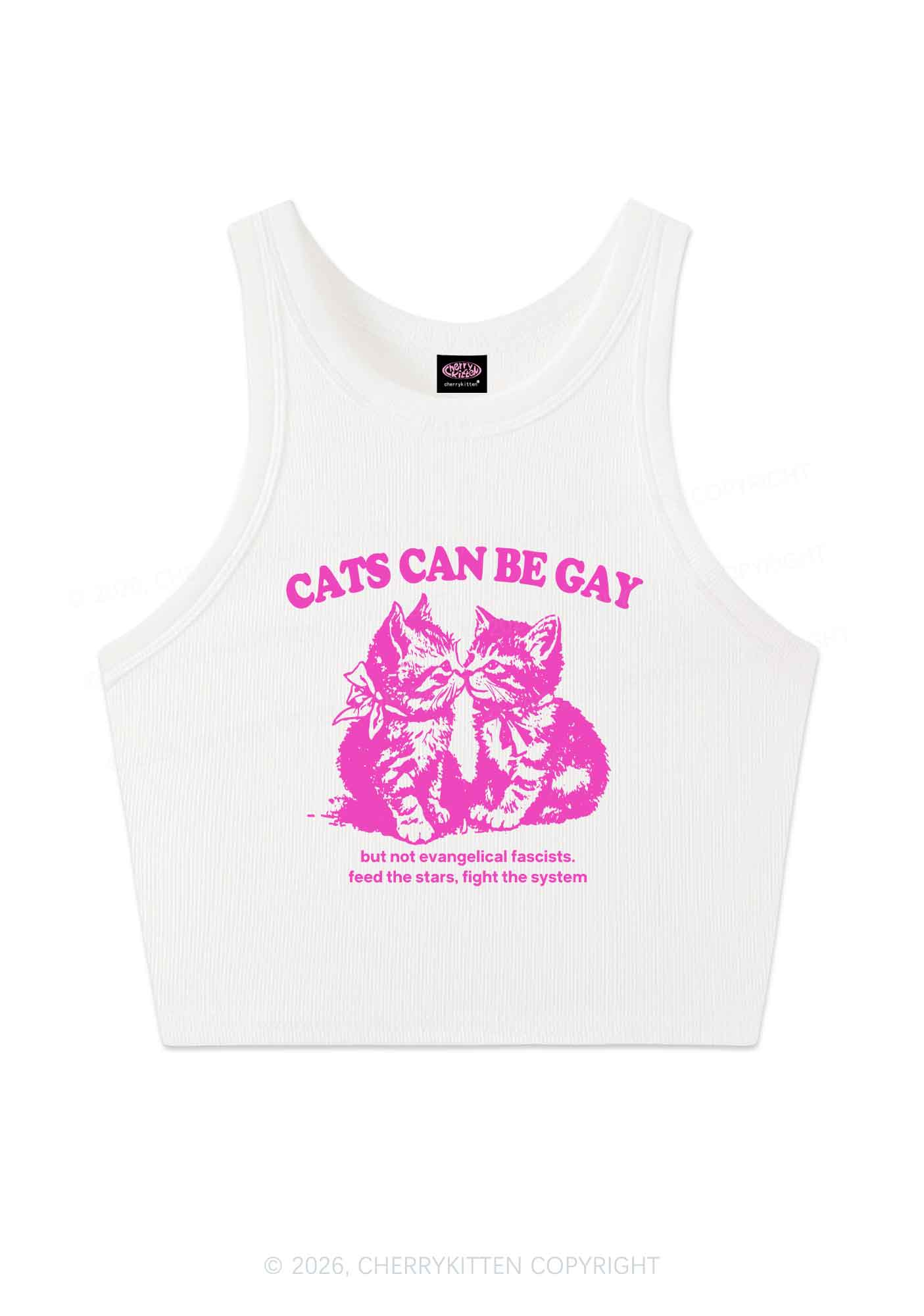 Cat Can Be Gay Pride Y2K Crop Tank Top Cherrykitten