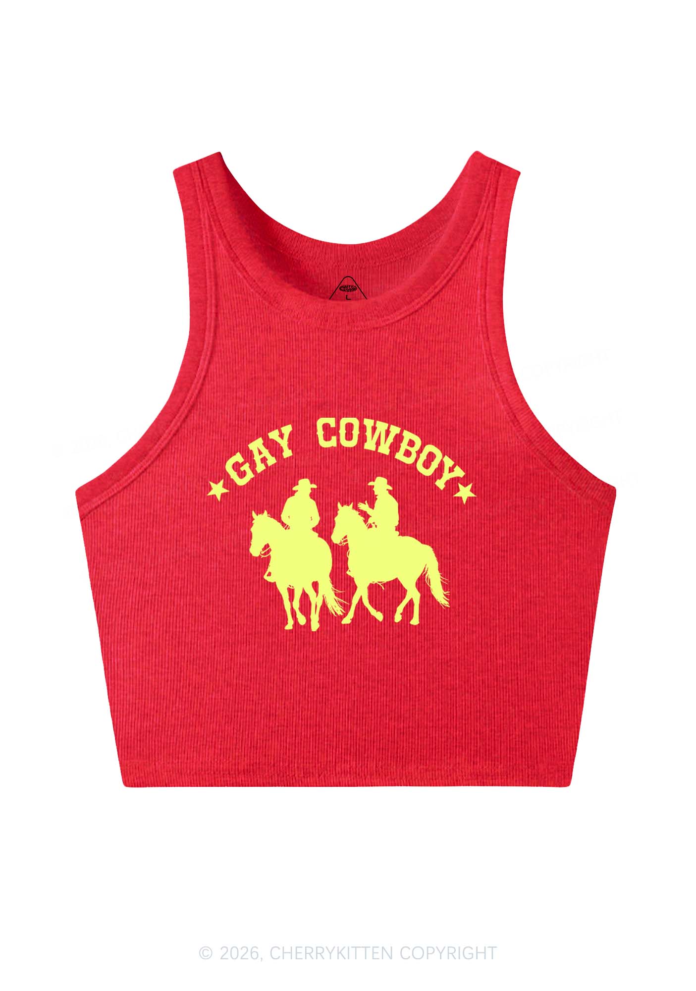 Gay Cowboy Pride Y2K Crop Tank Top Cherrykitten