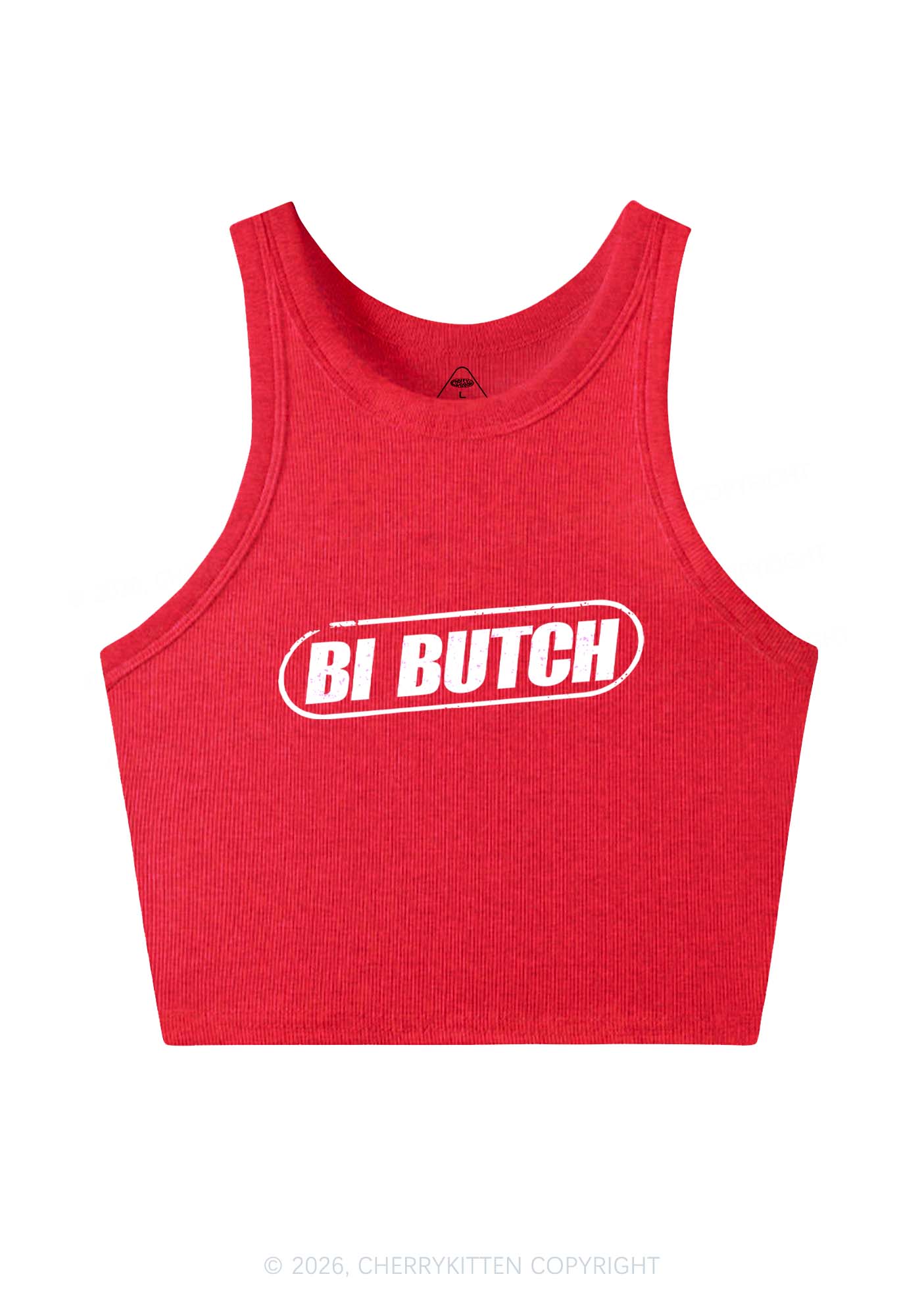 Bi Butch Pride Y2K Crop Tank Top Cherrykitten