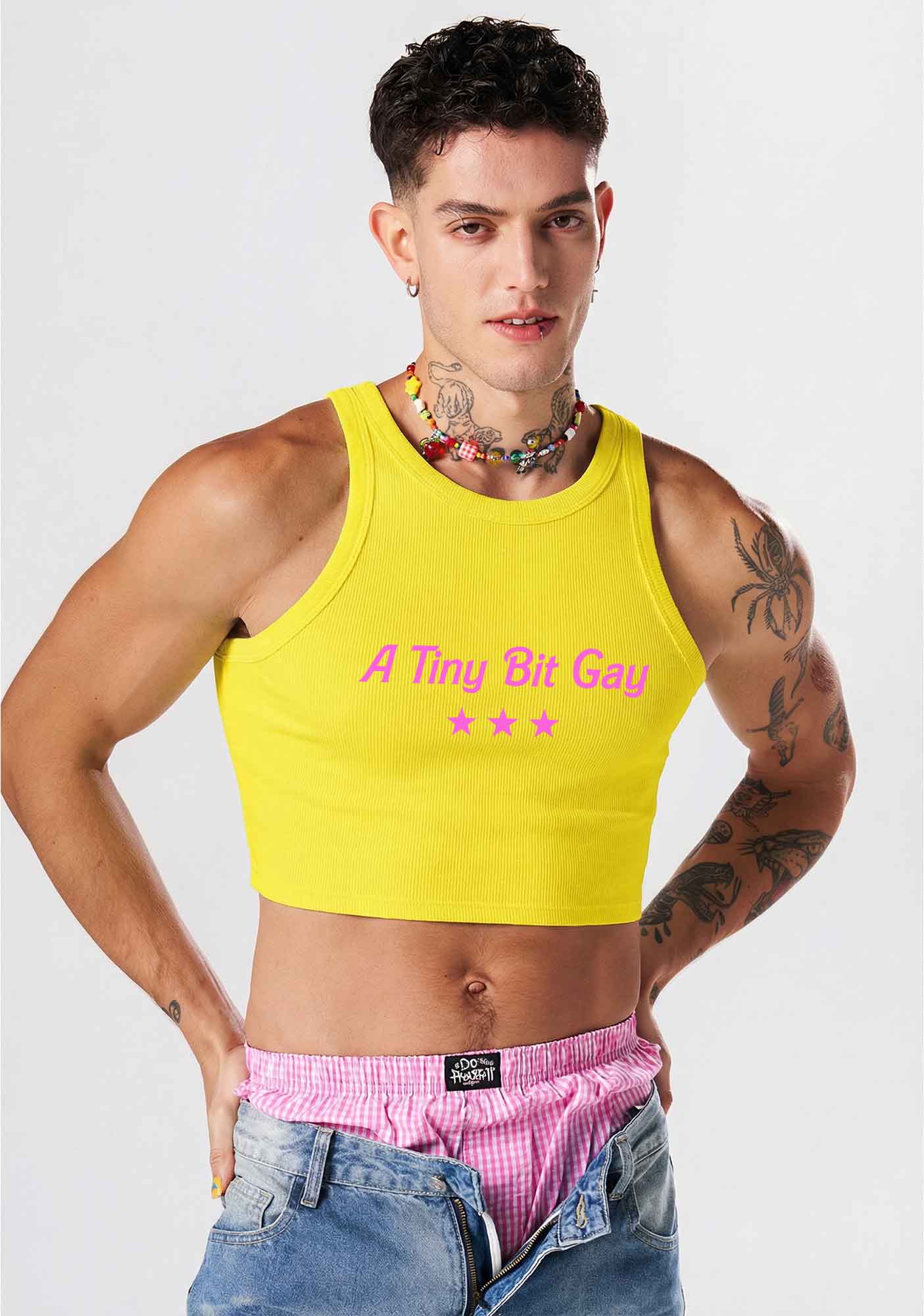 A Tiny Bit Gay Pride Y2K Crop Tank Top Cherrykitten