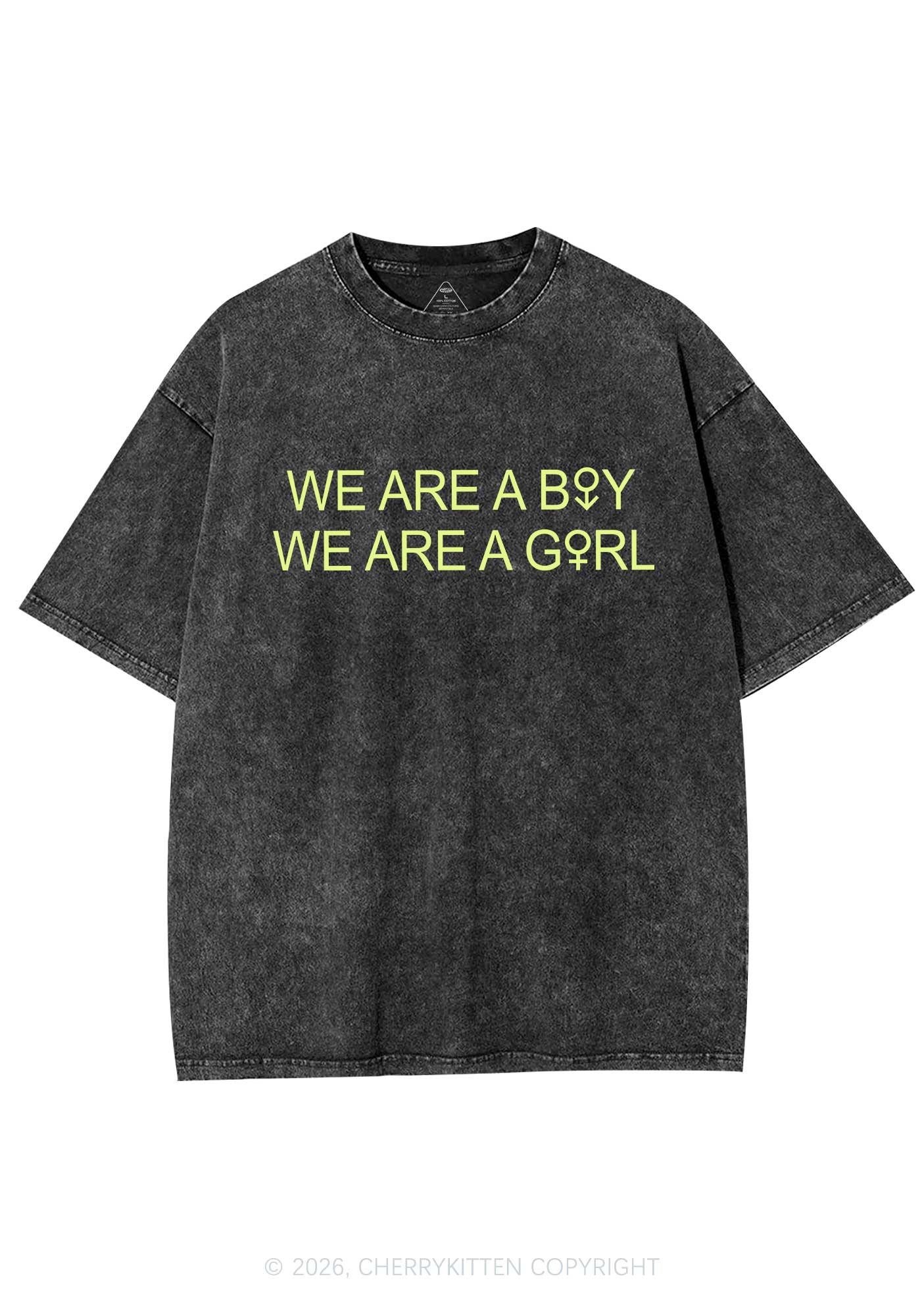 We Are A Boy Pride Y2K Shirts Washed Tee Cherrykitten