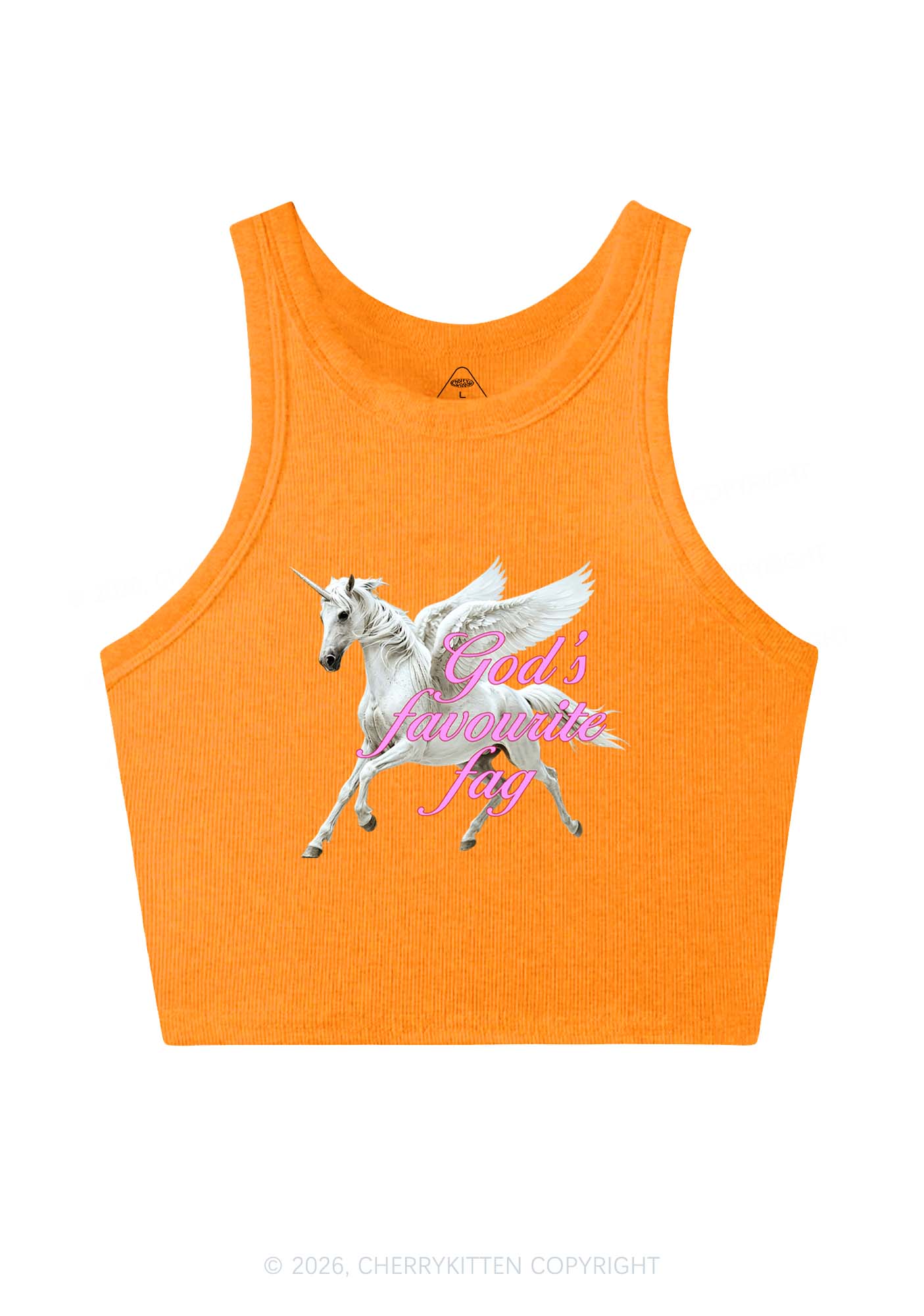 Gods Favourite Fag Pride Y2K Crop Tank Top Cherrykitten