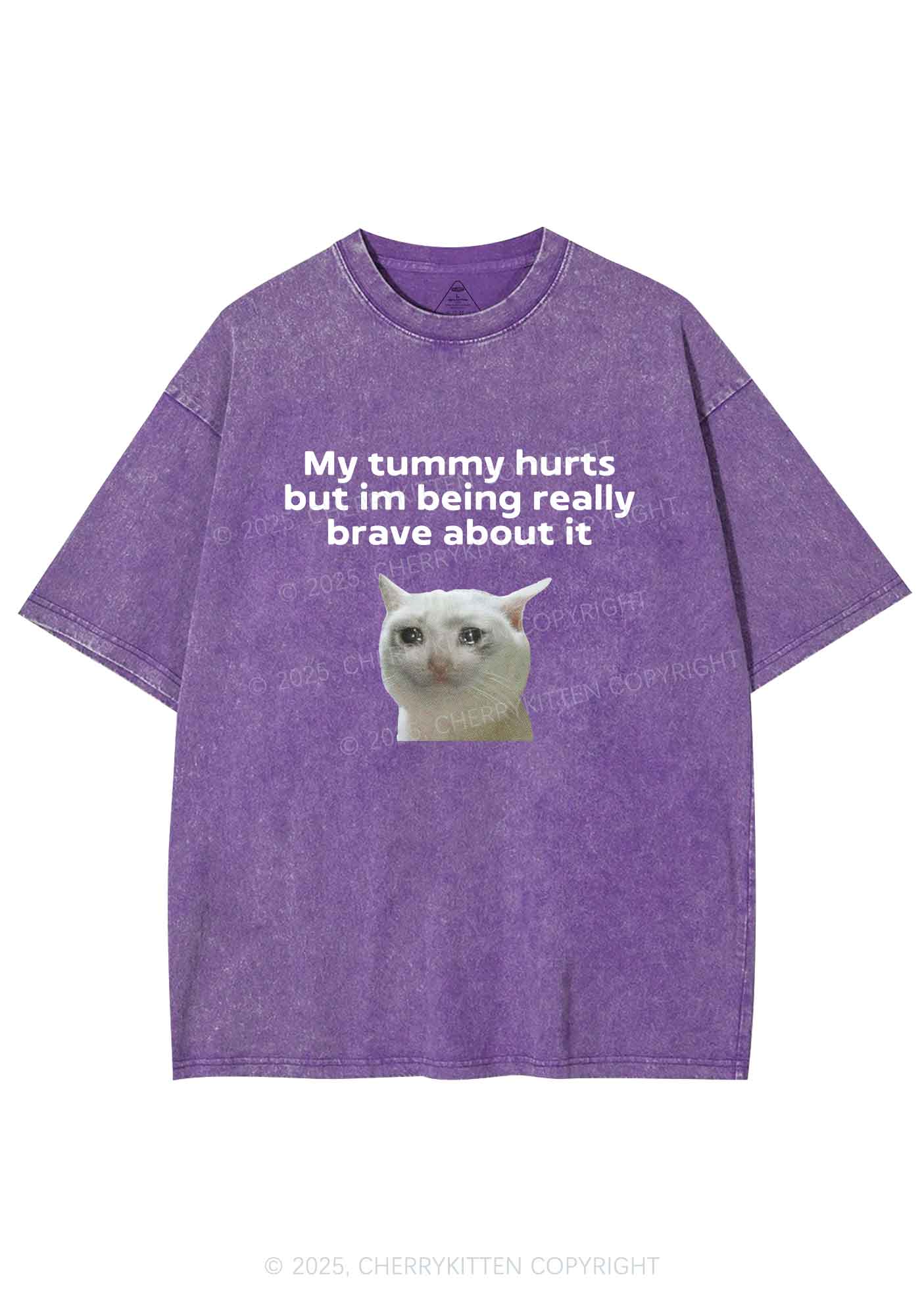 Cat Tummy Hurts Y2K Shirts Washed Tee Cherrykitten