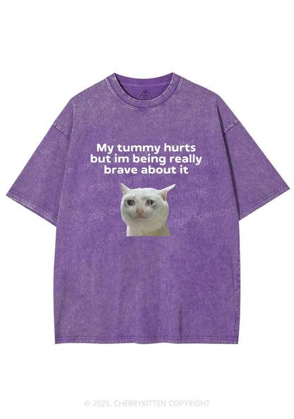 Cat Tummy Hurts Y2K Shirts Washed Tee Cherrykitten