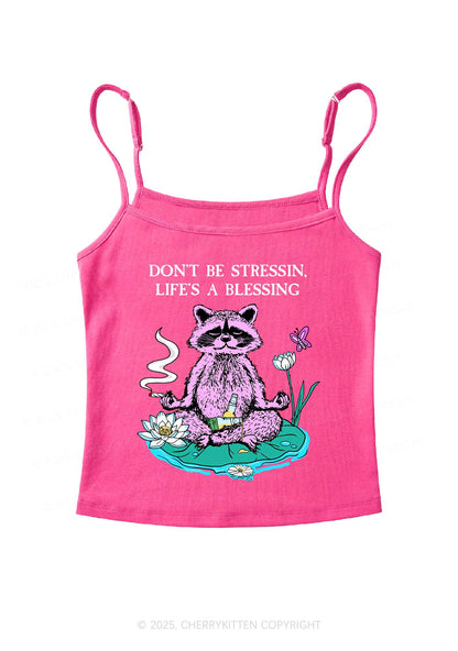 Dont Stress Raccoon Y2K Spaghetti Strap Cami Cherrykitten