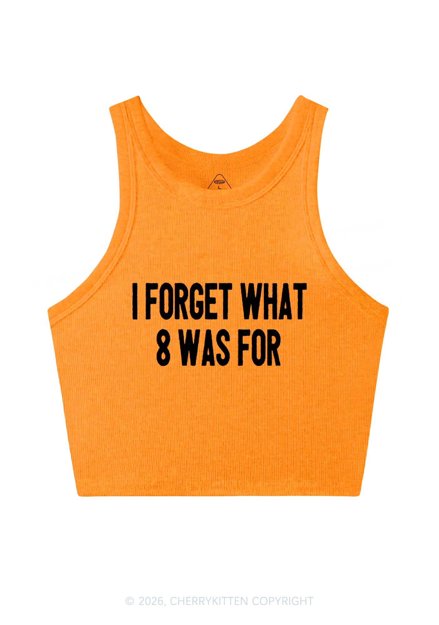 I Forget What Eight Was For Pride Y2K Crop Tank Top Cherrykitten