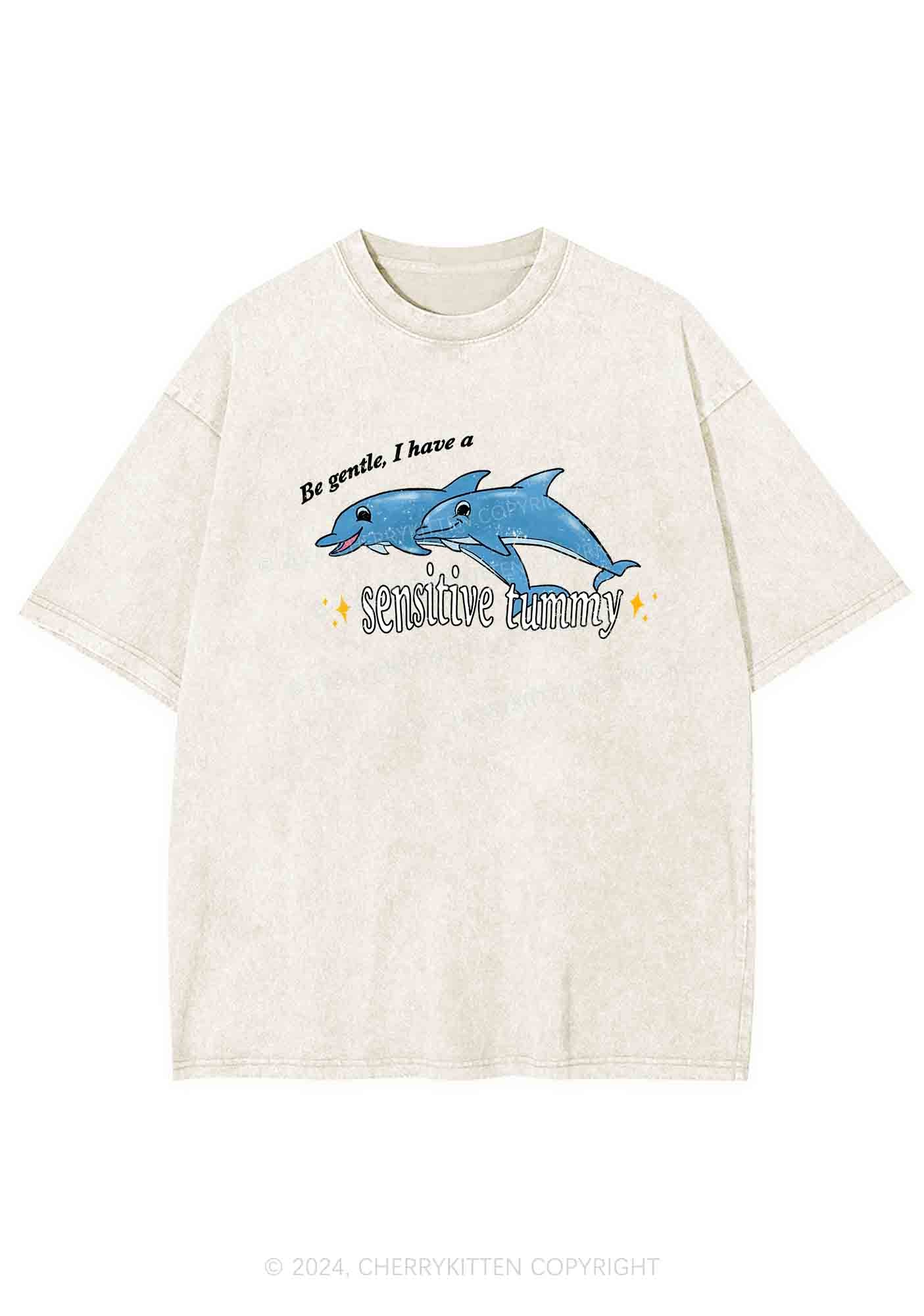 Sensitive Tummy Y2K Washed Tee Cherrykitten