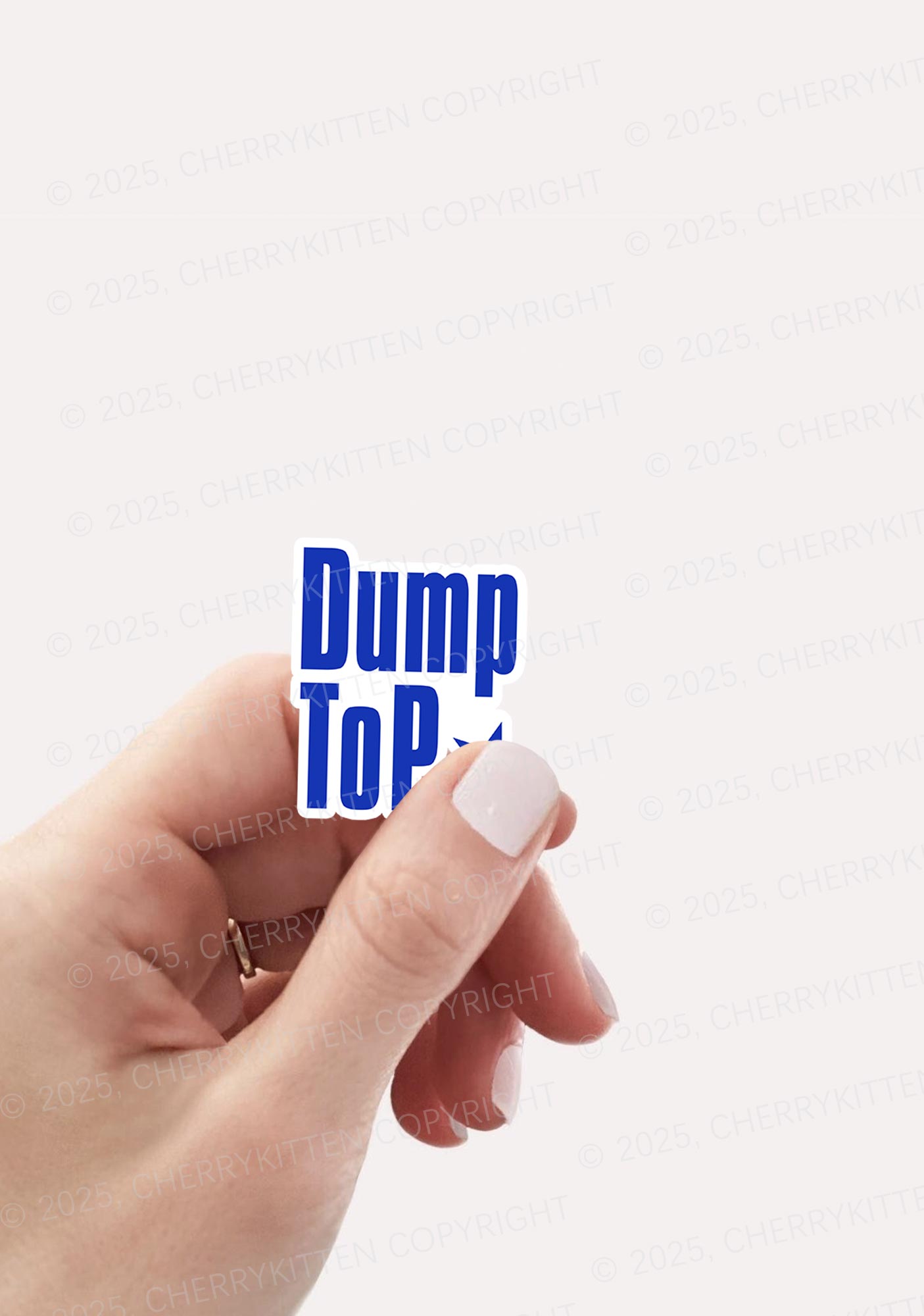 Dump Top Pride 1Pc Y2K Sticker Cherrykitten