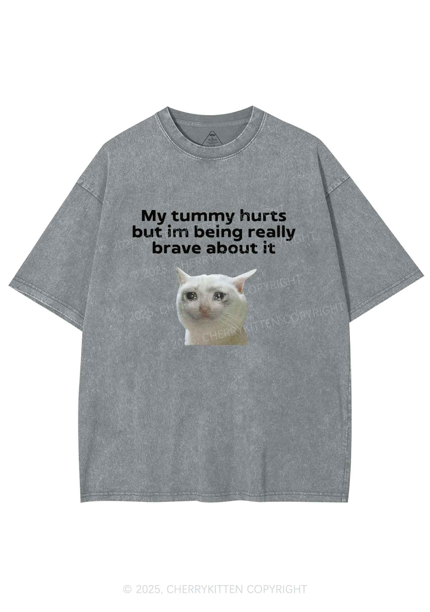 Cat Tummy Hurts Y2K Shirts Washed Tee Cherrykitten