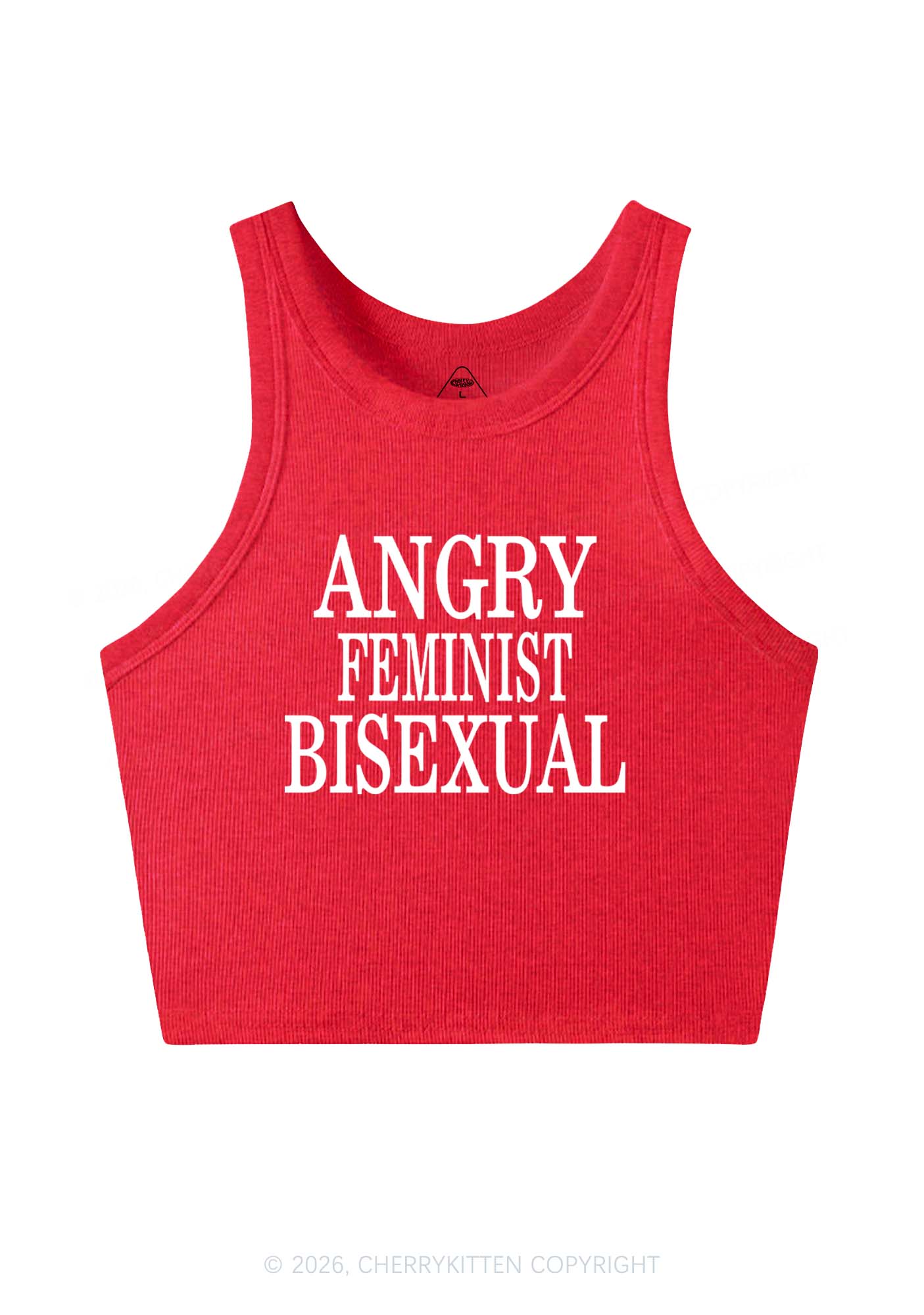 Angry Feminist Bisexual Pride Y2K Crop Tank Top Cherrykitten