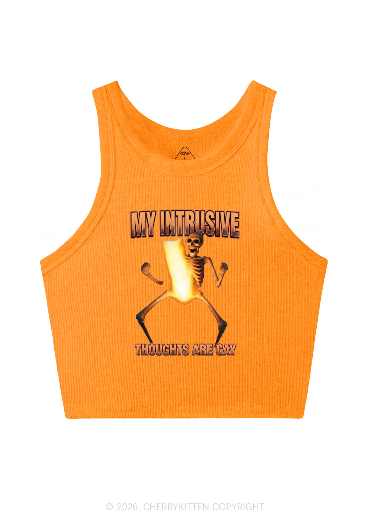 My Intrusive Thoughts Are Gay Pride Y2K Crop Tank Top Cherrykitten