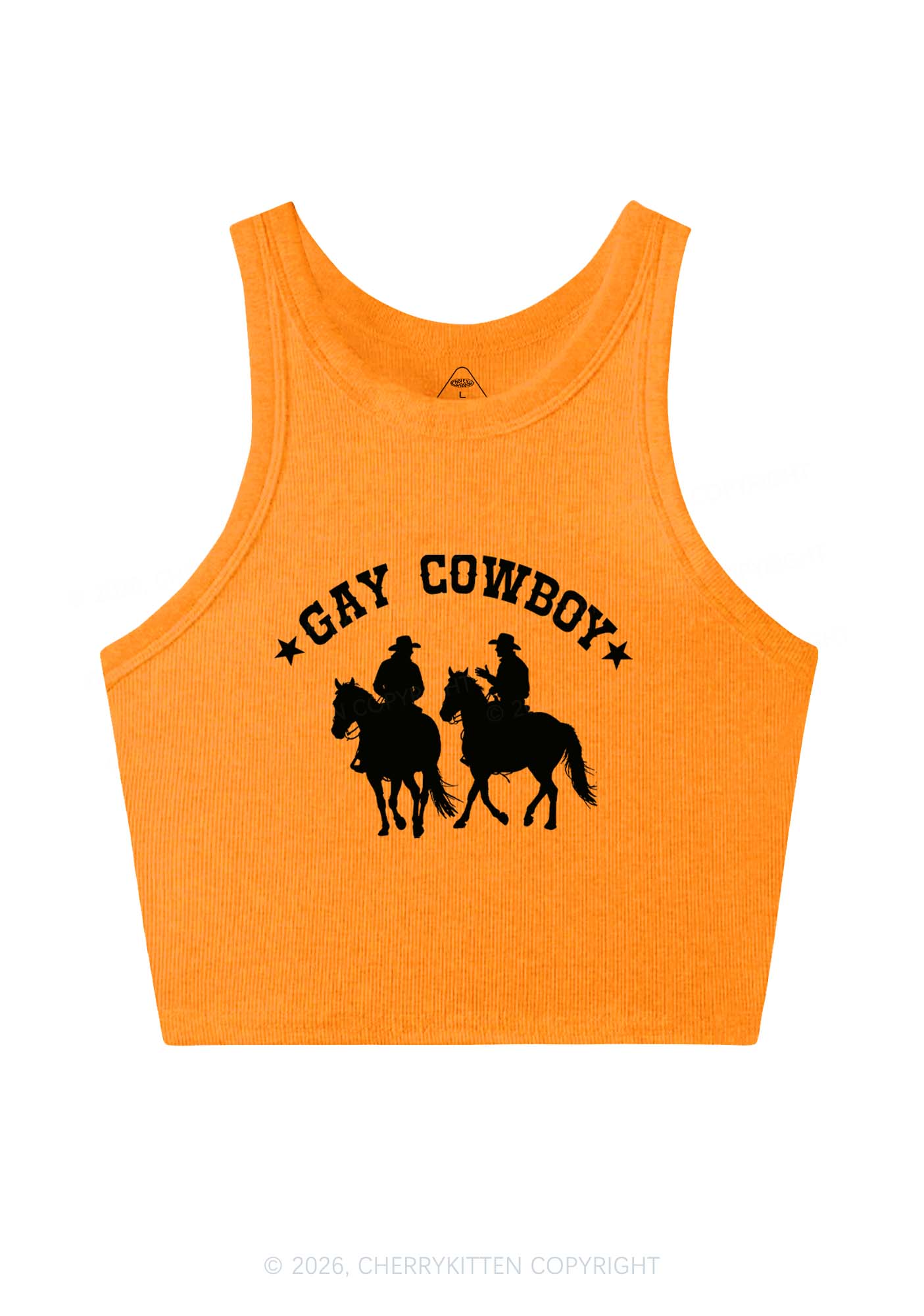 Gay Cowboy Pride Y2K Crop Tank Top Cherrykitten