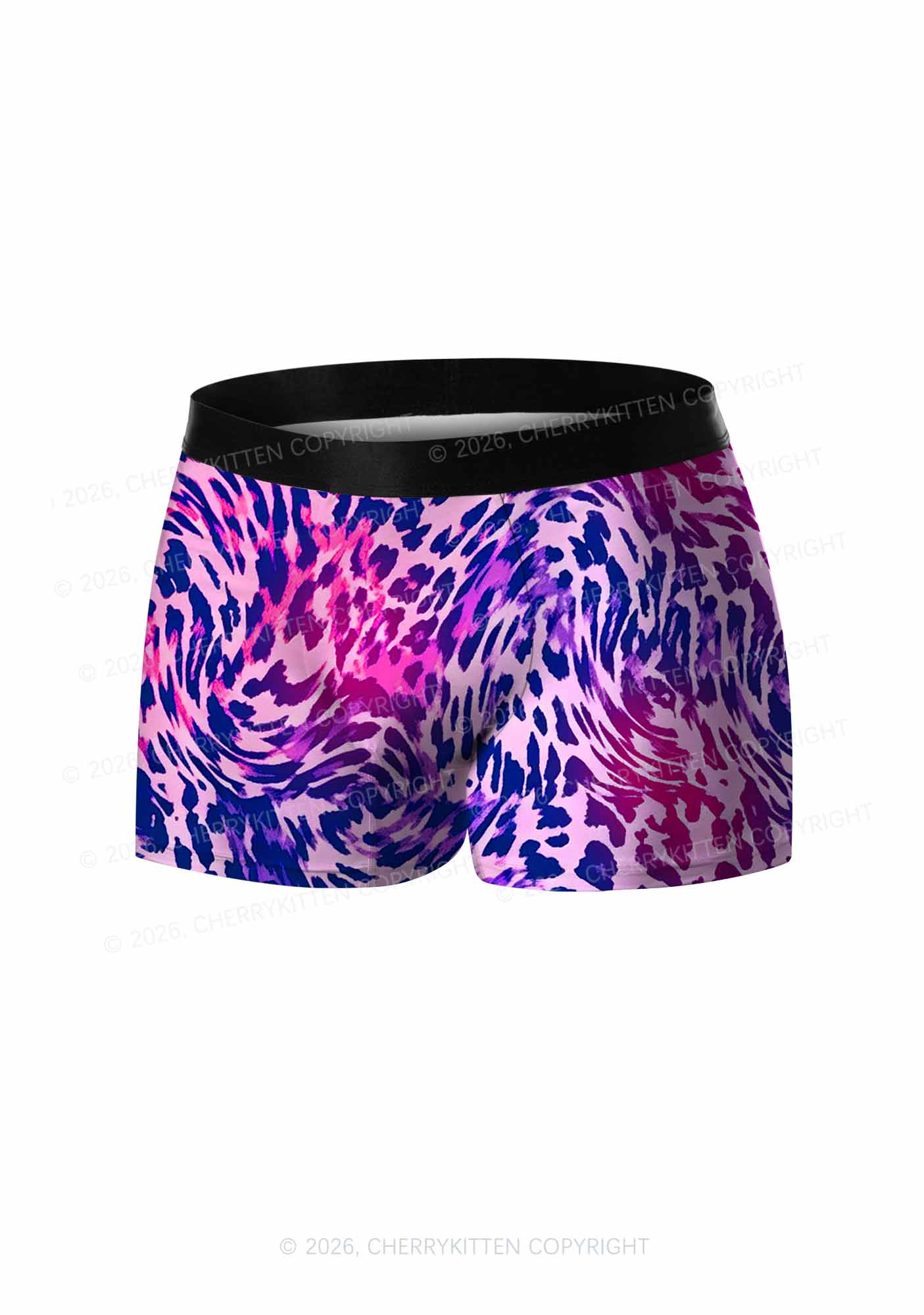 Bisexual Leopard Pride Y2K Print Men Boxer Briefs Cherrykitten