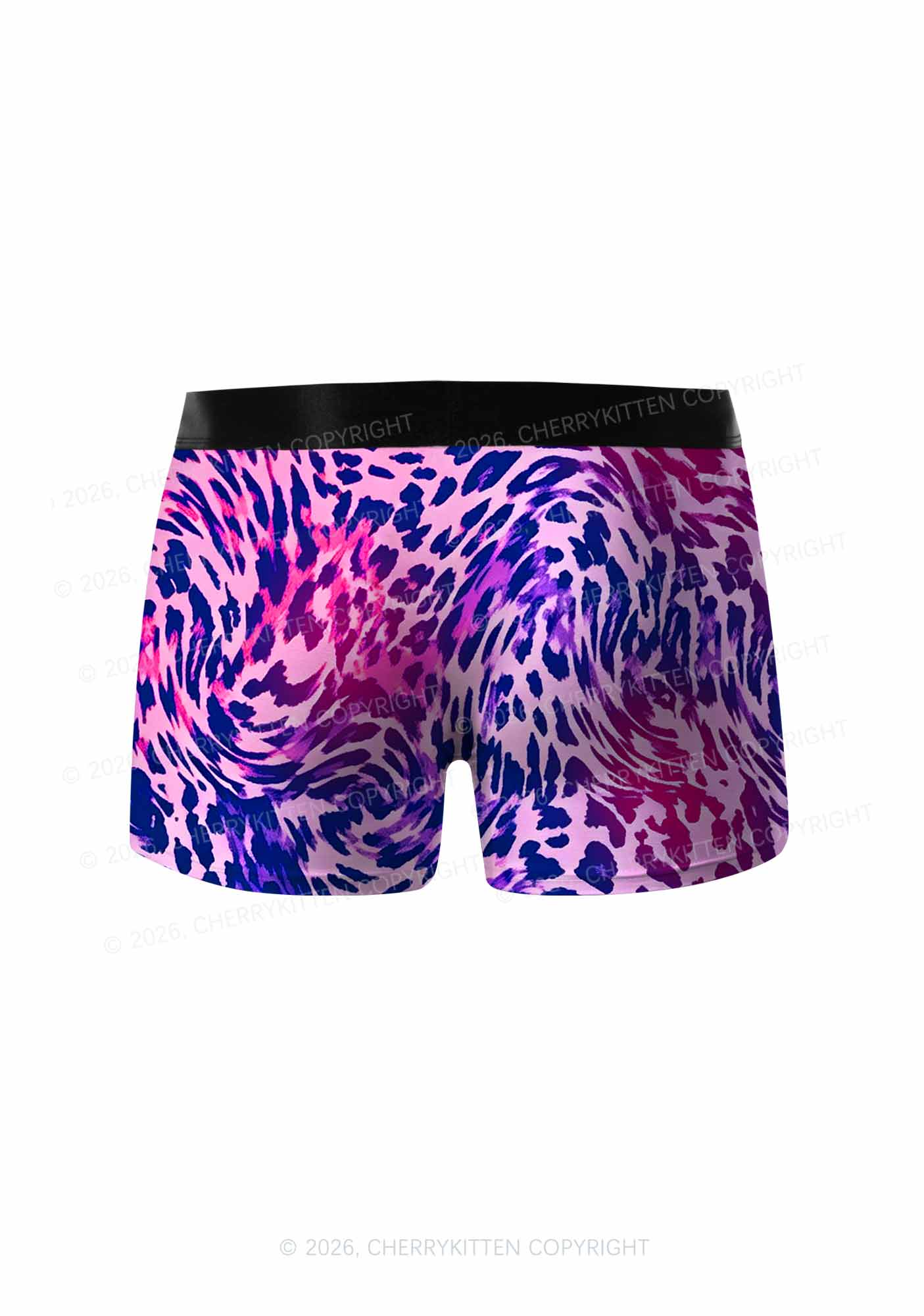 Bisexual Leopard Pride Y2K Print Men Boxer Briefs Cherrykitten