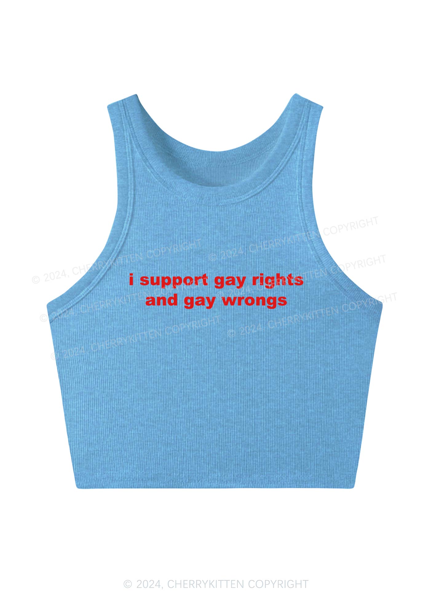 Support Gay Rights Y2K Crop Tank Top Cherrykitten