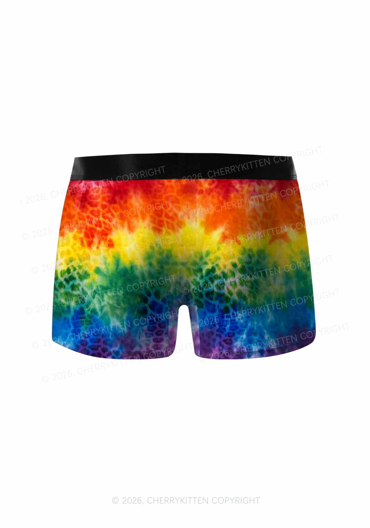 Rainbow Leopard Tie Dye Pride Y2K Print Men Boxer Briefs Cherrykitten