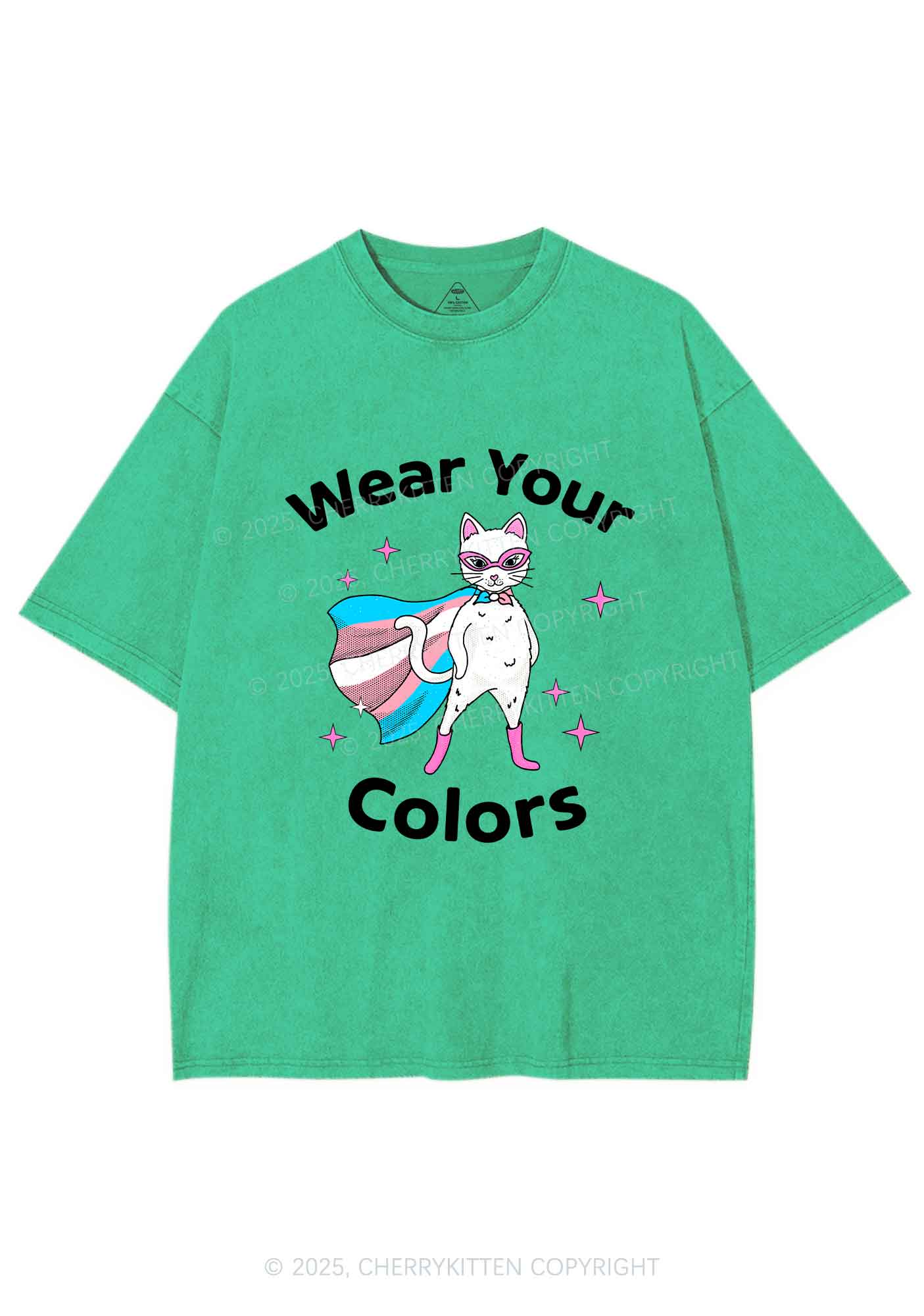 Transgender Flag Cat Pride Y2K Shirts Washed Tee Cherrykitten