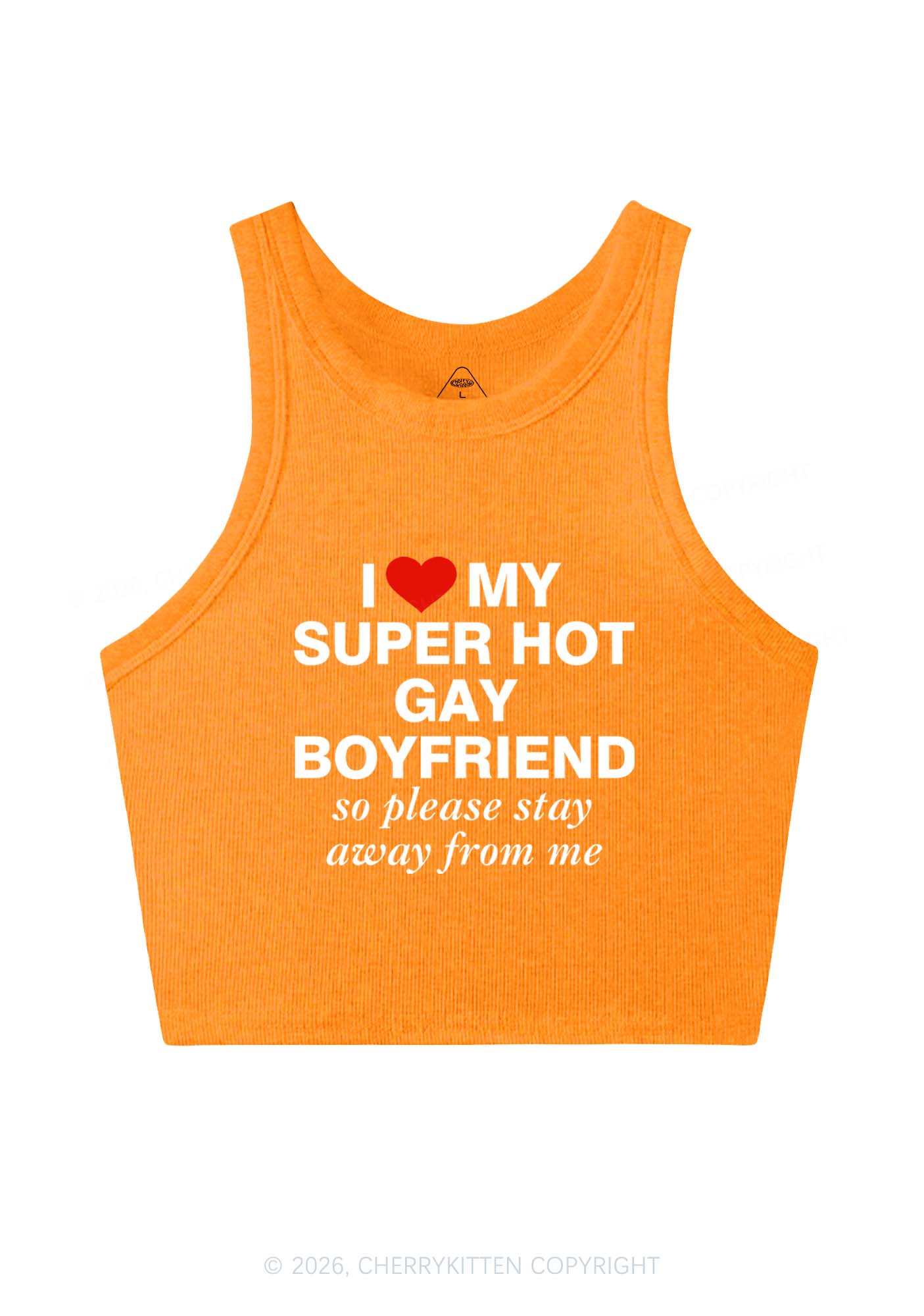 I Love My Super Hot Gay BF Pride Y2K Crop Tank Top Cherrykitten