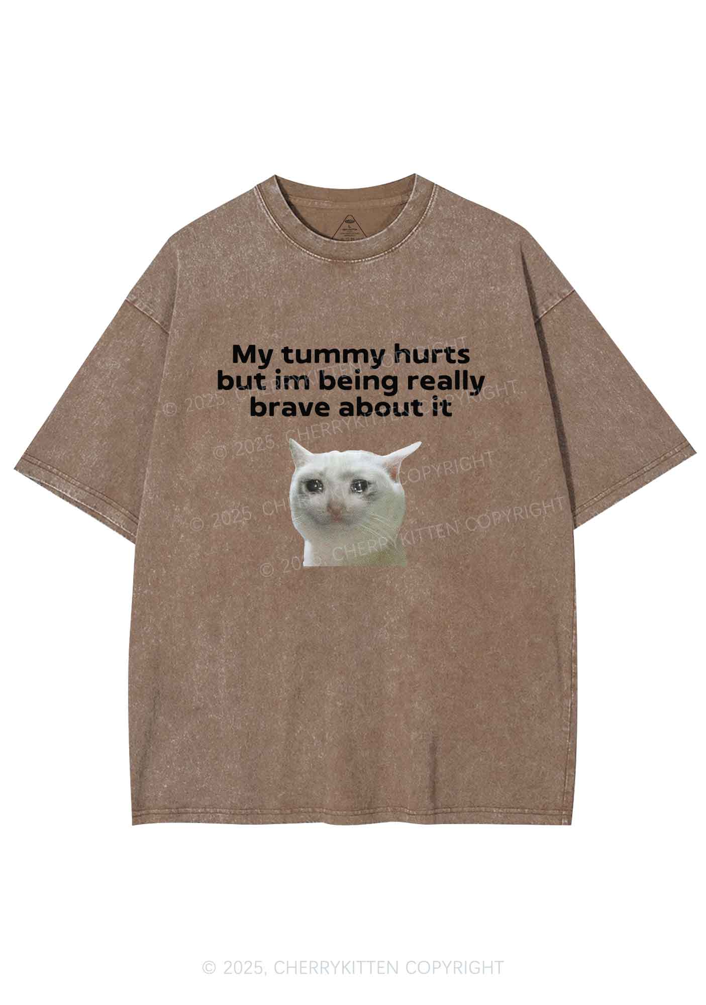Cat Tummy Hurts Y2K Shirts Washed Tee Cherrykitten