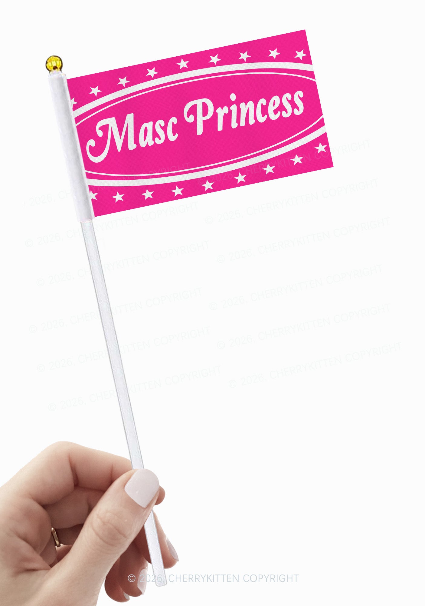 Masc Princess Pride Y2K Hand Flags Cherrykitten