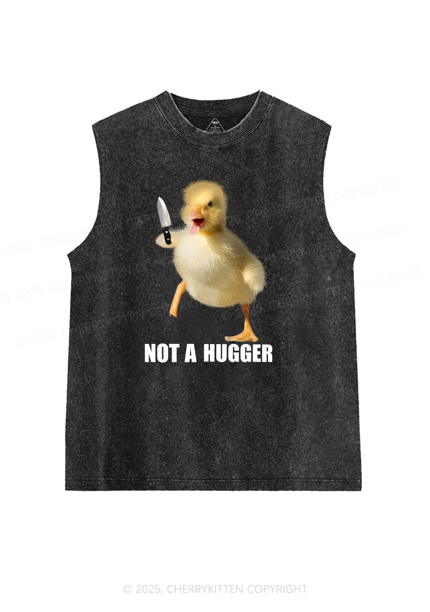 Not A Hugger Y2K Washed Tank Cherrykitten