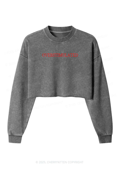 Embroidered Overstimulated Y2K Crop Washed Sweatshirts Cherrykitten