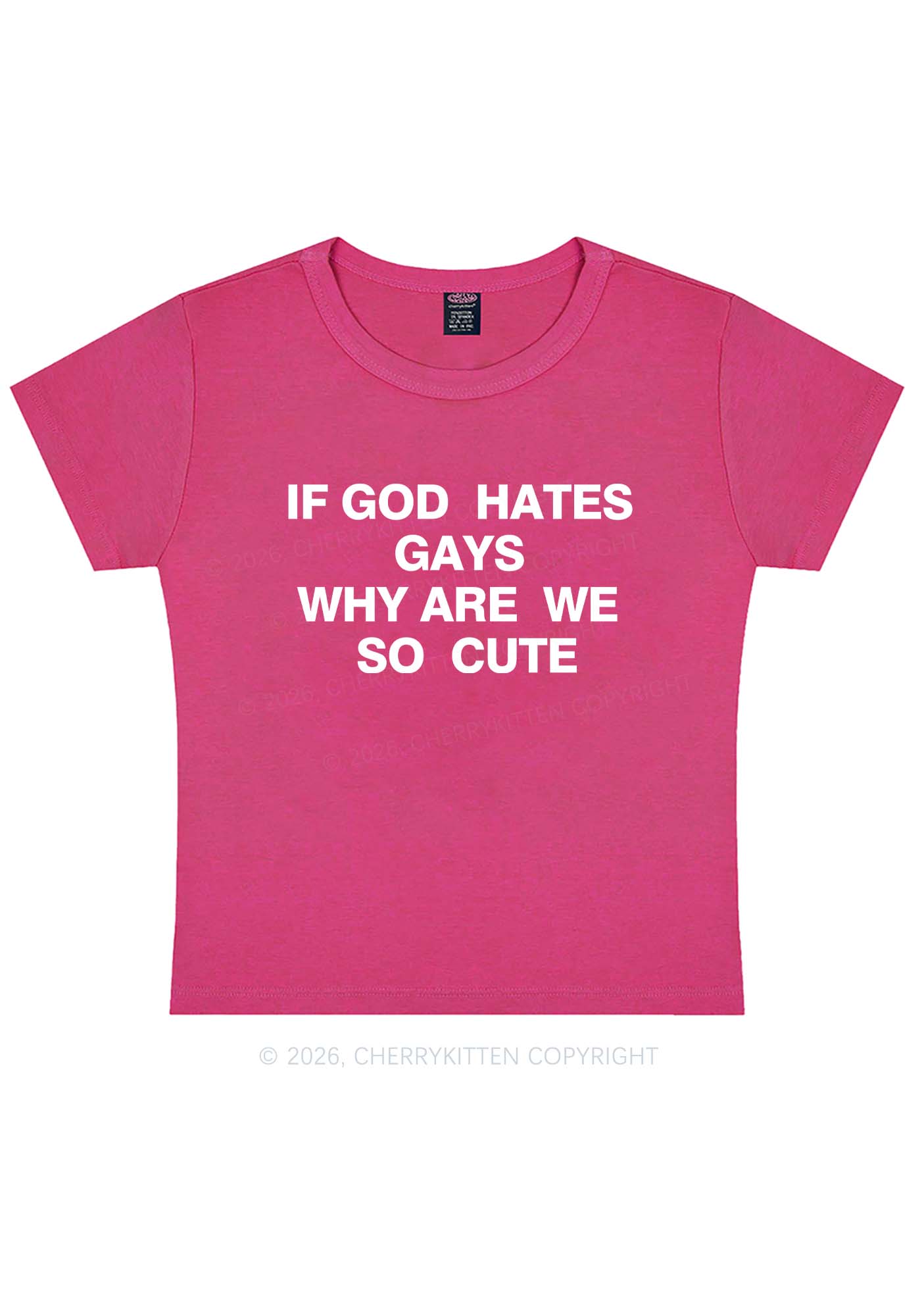 If God Hates Gays Pride Y2K Baby Tee Cherrykitten