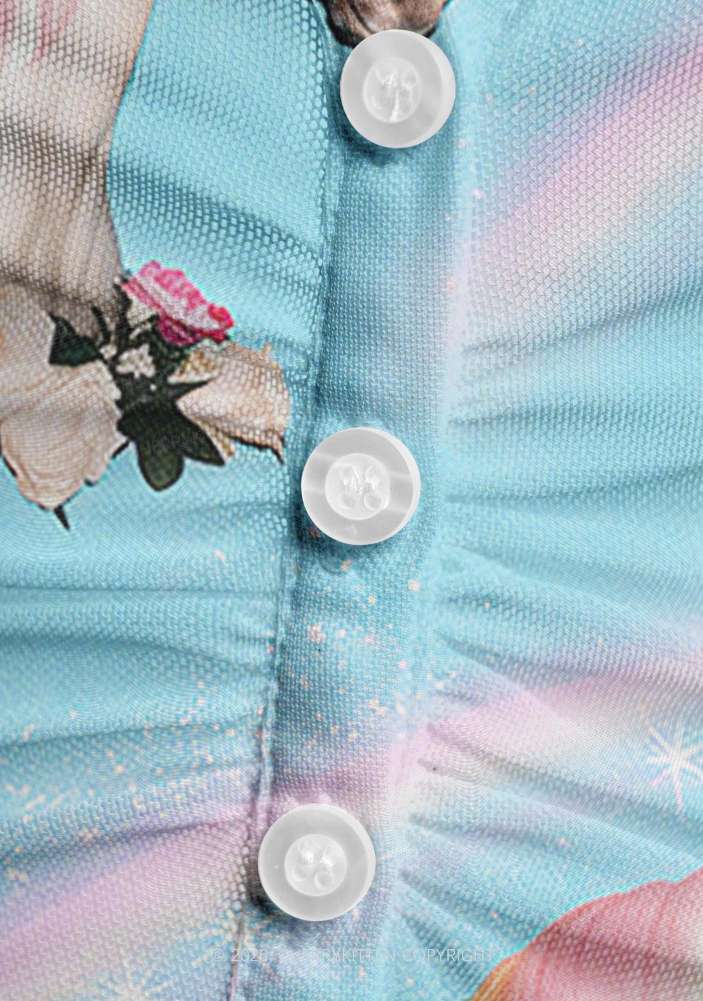 Blue Unicorn Y2K Mesh Ruched  Waist  V Neck Top Cherrykitten