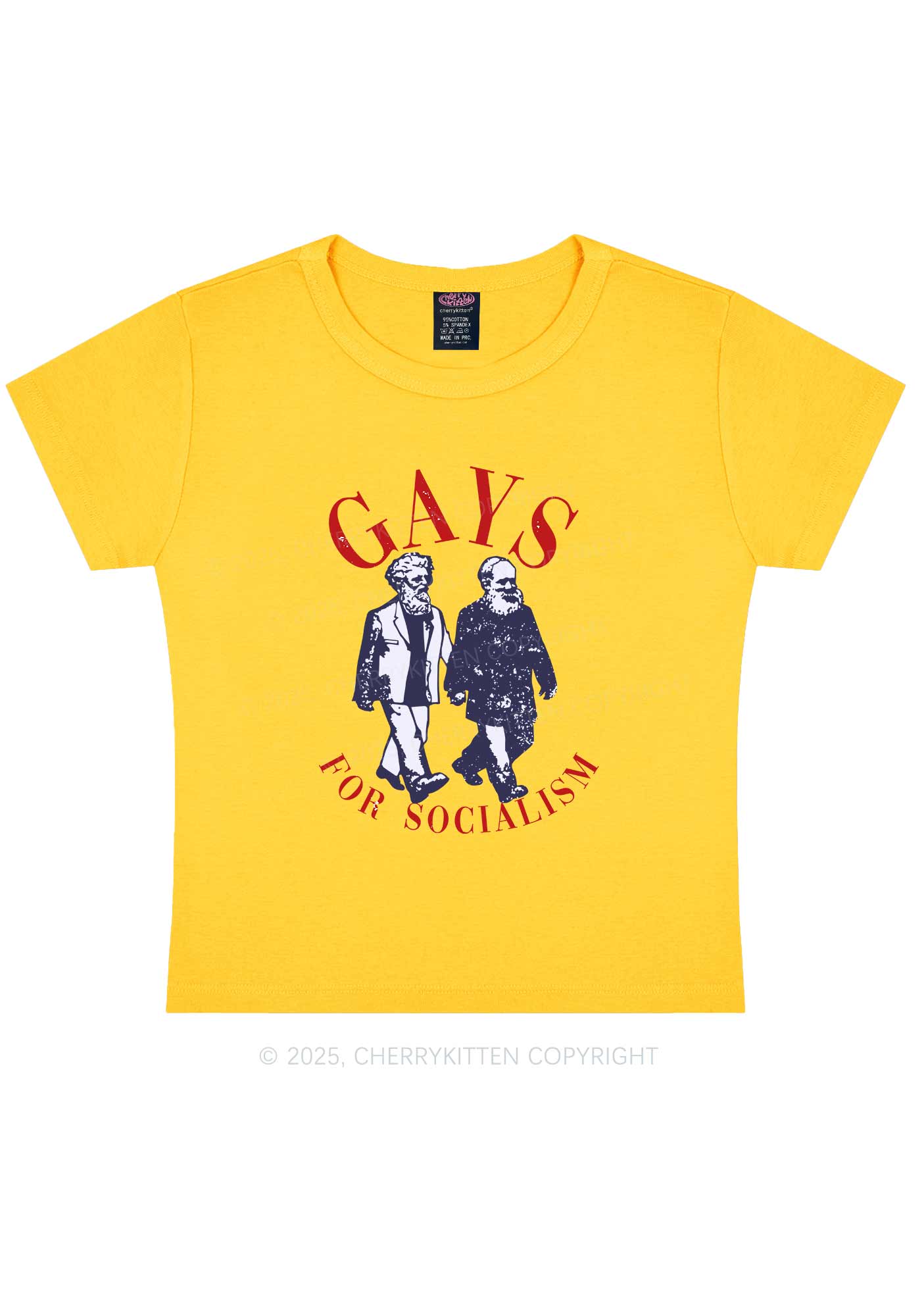 Gays For Socialism Pride Y2K Baby Tee Cherrykitten