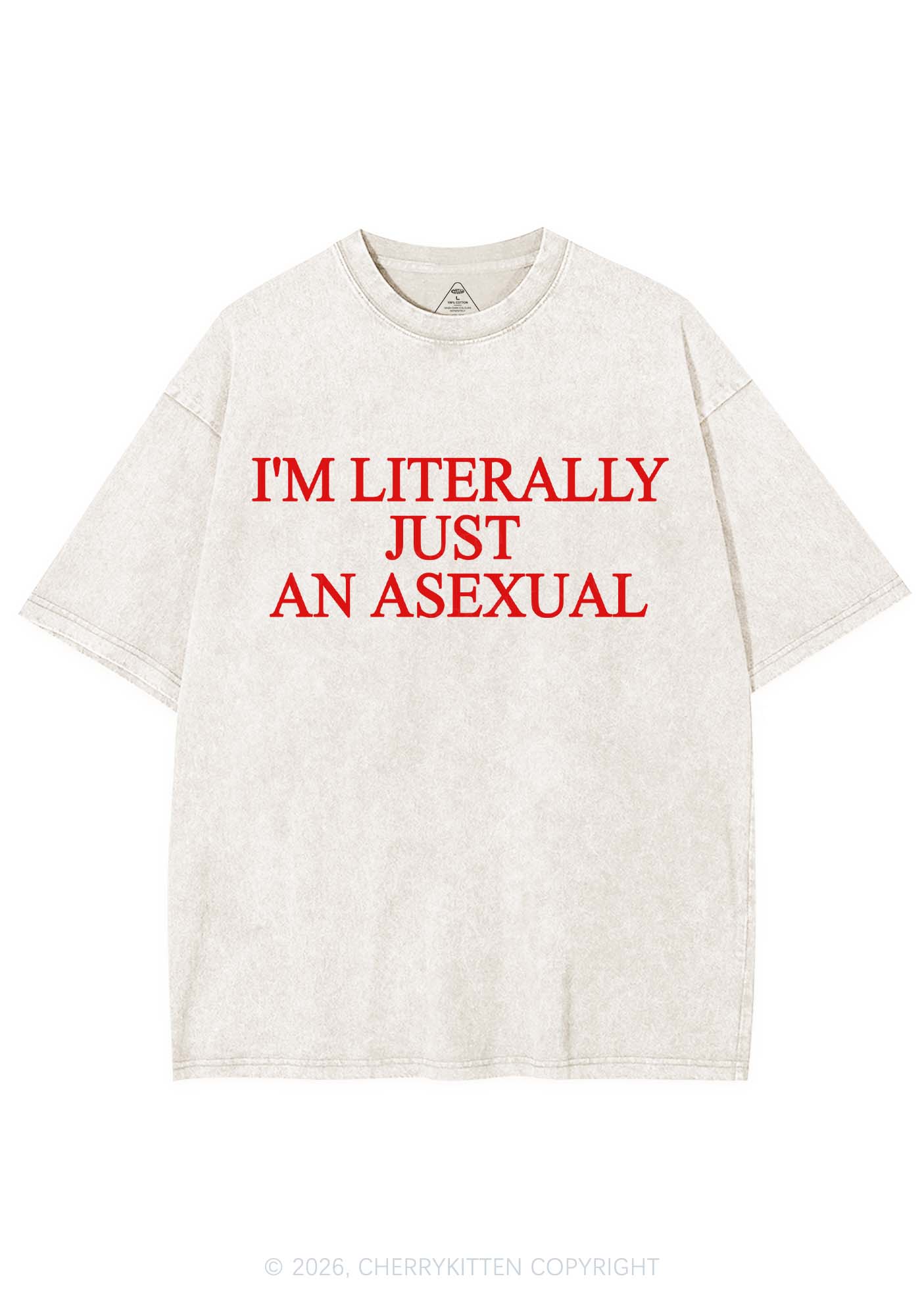 Im Literally Just An Asexual Pride Y2K Shirts Washed Tee Cherrykitten