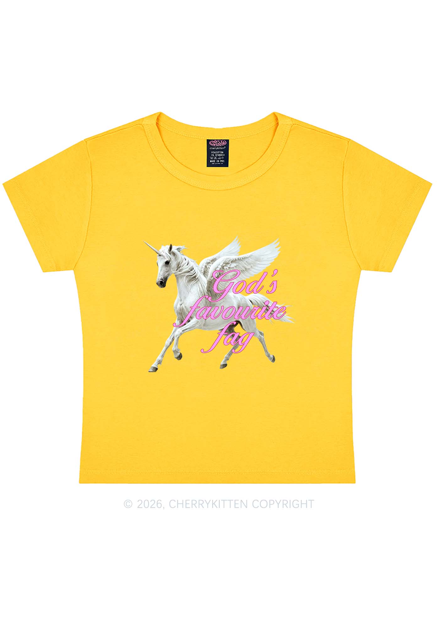 Gods Favourite Fag Pride Y2K Baby Tee Cherrykitten