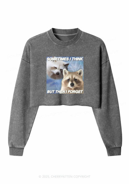 Raccoon Sometimes Think Y2K Crop Washed Sweatshirts Cherrykitten