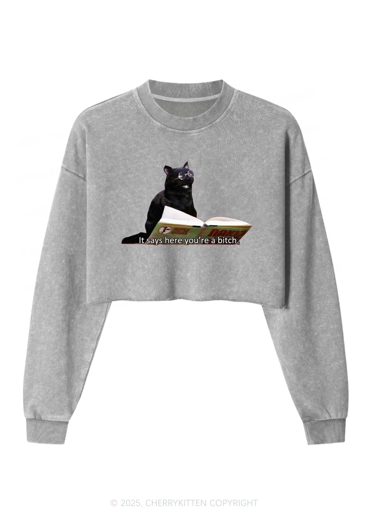 It Says Here Youre A Bixxh Y2K Crop Washed Sweatshirts Cherrykitten