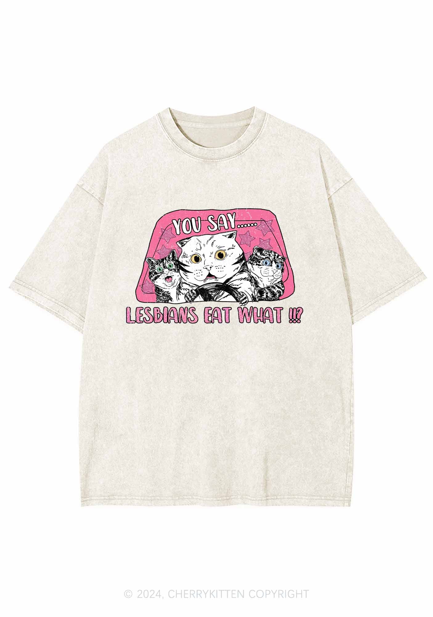 You Say Lesbians Eat What Y2K Washed Tee Cherrykitten