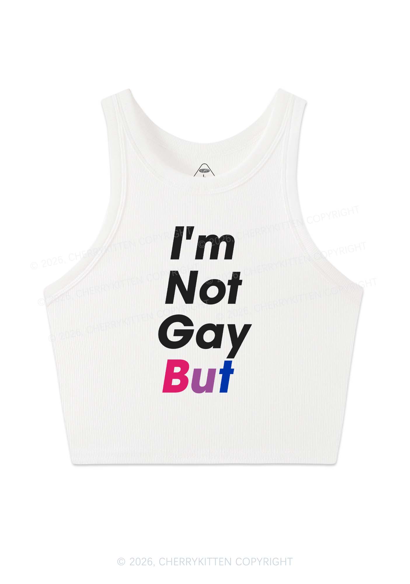 Im Not Gay But Pride Y2K Crop Tank Top Cherrykitten