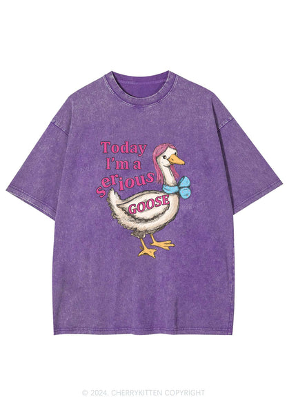 Serious Goose Y2K Washed Tee Cherrykitten