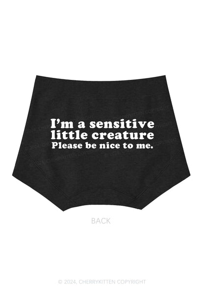 Sensitive Little Creature Y2K Mid Rise Waist Boyshort Cherrykitten