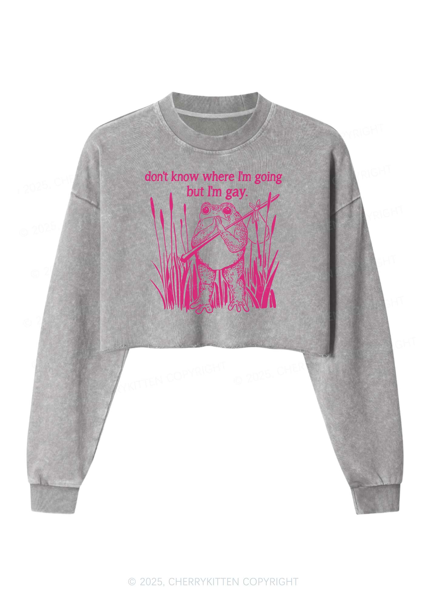 But I Am Gay Frog Pride Y2K Crop Washed Sweatshirts Cherrykitten