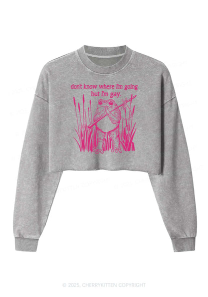 But I Am Gay Frog Pride Y2K Crop Washed Sweatshirts Cherrykitten