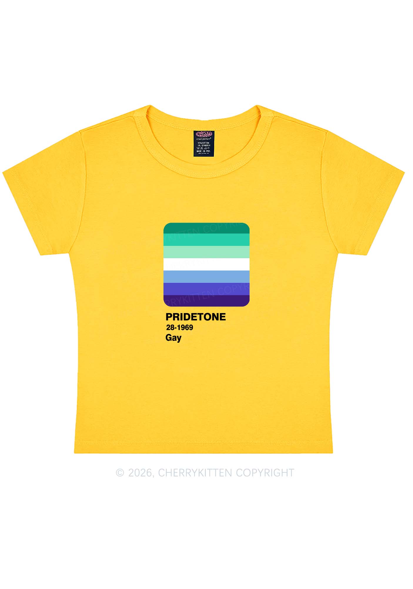 Pridetone Gay Pride Y2K Baby Tee Cherrykitten