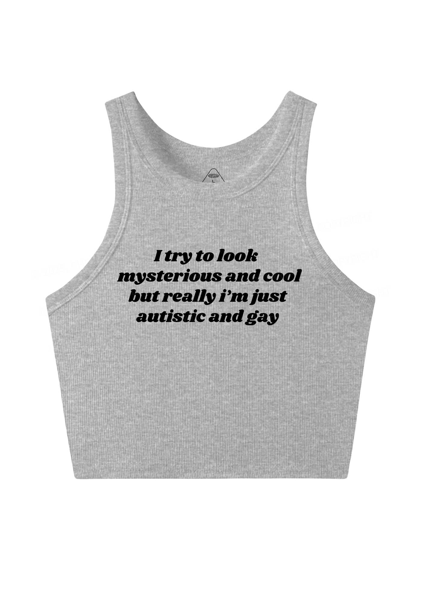 Im Just Autistic And Gay Pride Y2K Crop Tank Top Cherrykitten